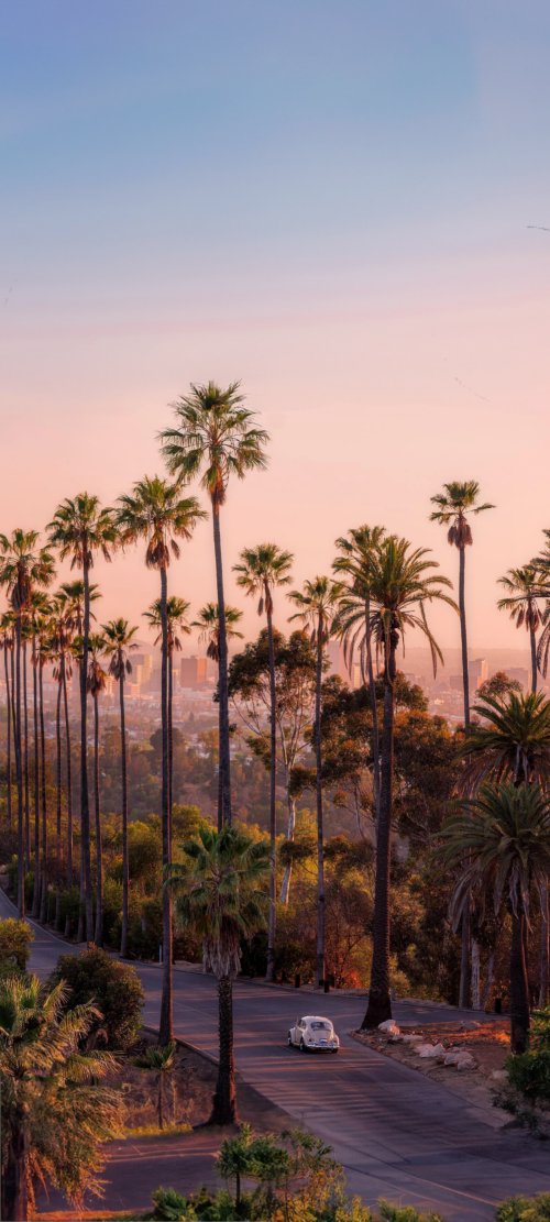 Sunset Palm Drive - Related StockWalls wallpaper