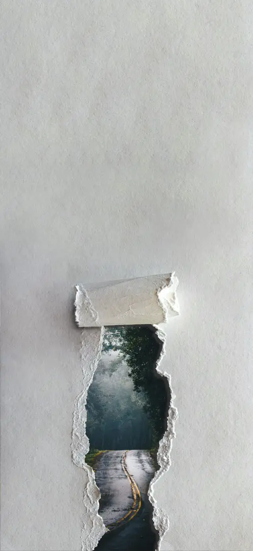 Torn Paper Forest Road