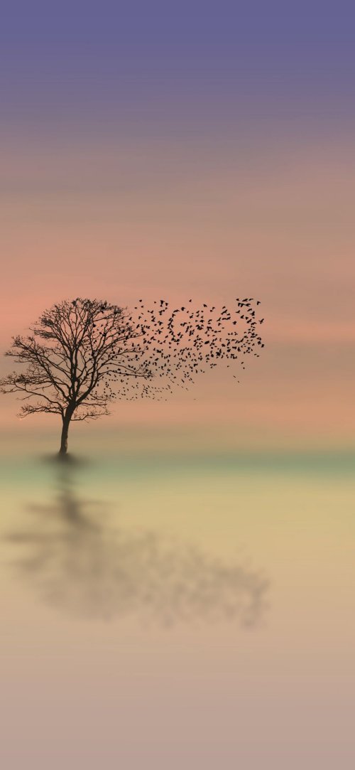 Tree and Birds Silhouette