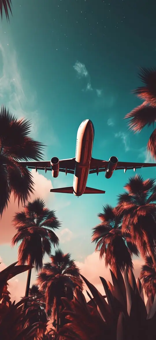 Tropical Airplane Takeoff