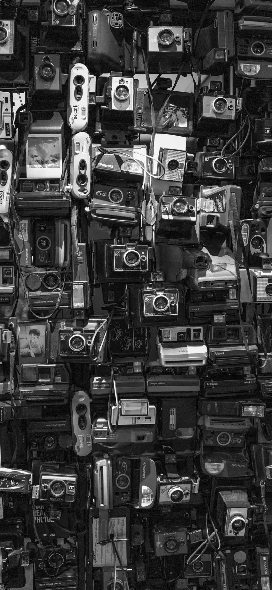Vintage Camera Collection - vintage Wallpaper