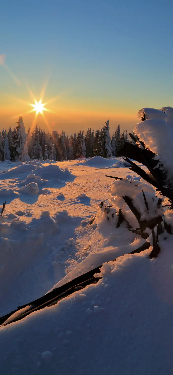 Winter Sunrise Glow