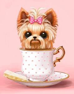 Yorkie in Teacup