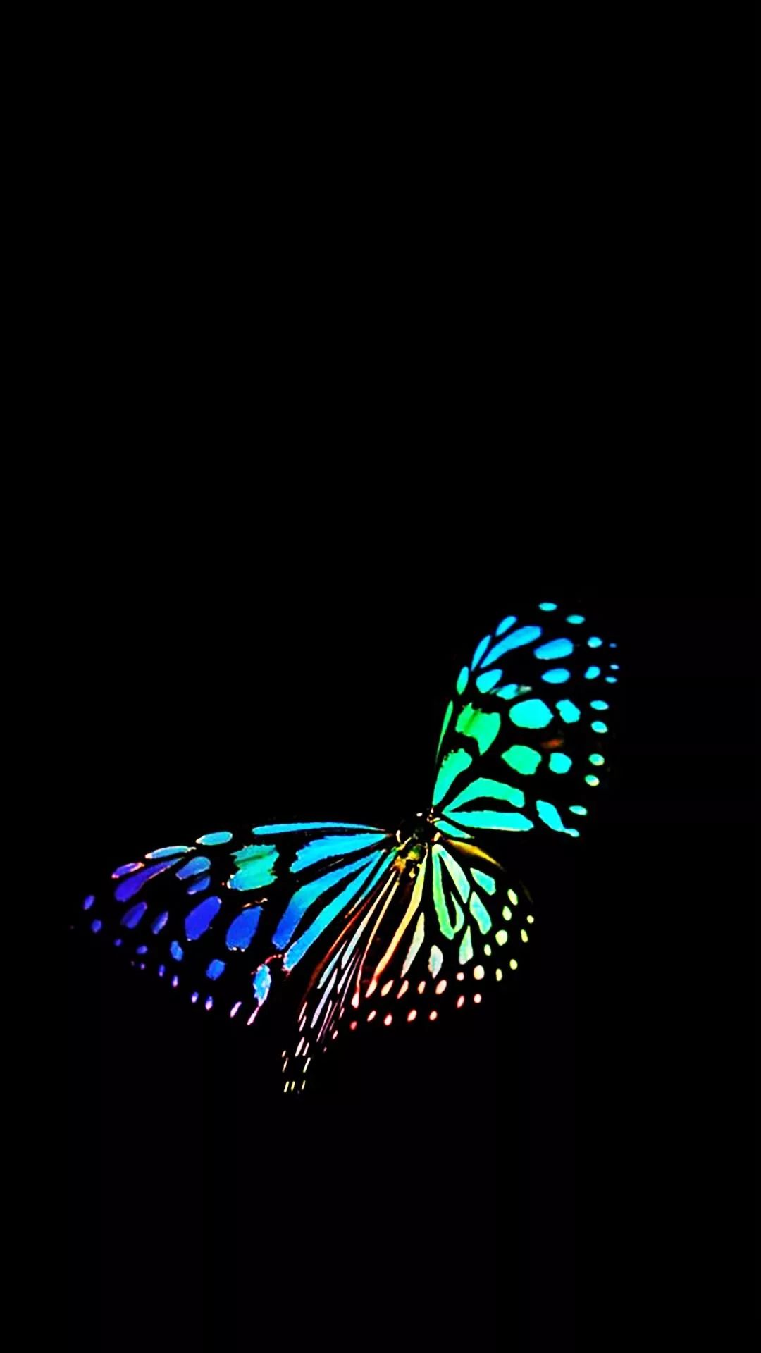 Rainbow Butterfly on Black - random wallpaper for OpersCraft