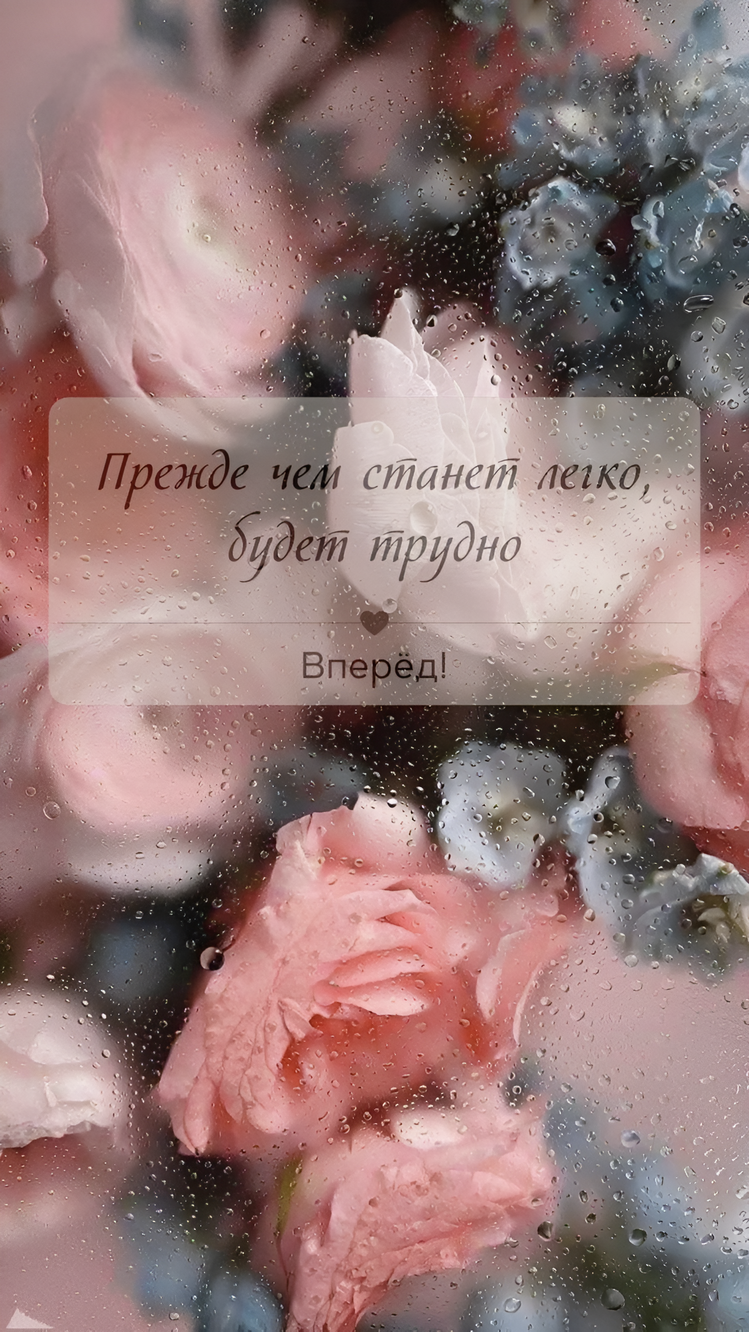 Rainy Day Roses - quotes wallpaper for OpersCraft