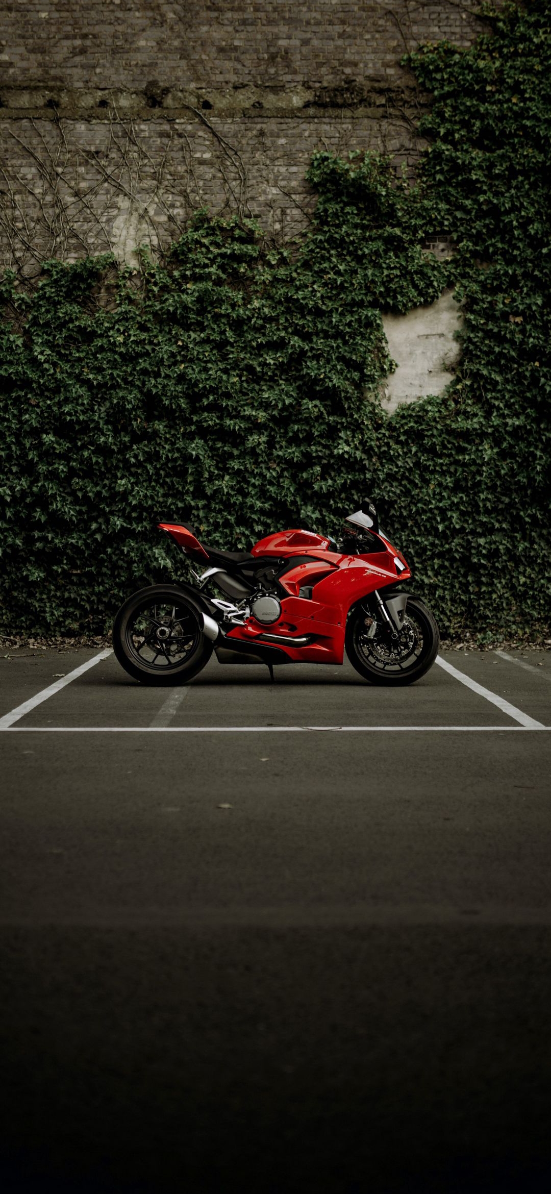 Red Ducati Motorcycle - motorcycle wallpaper for OpersCraft