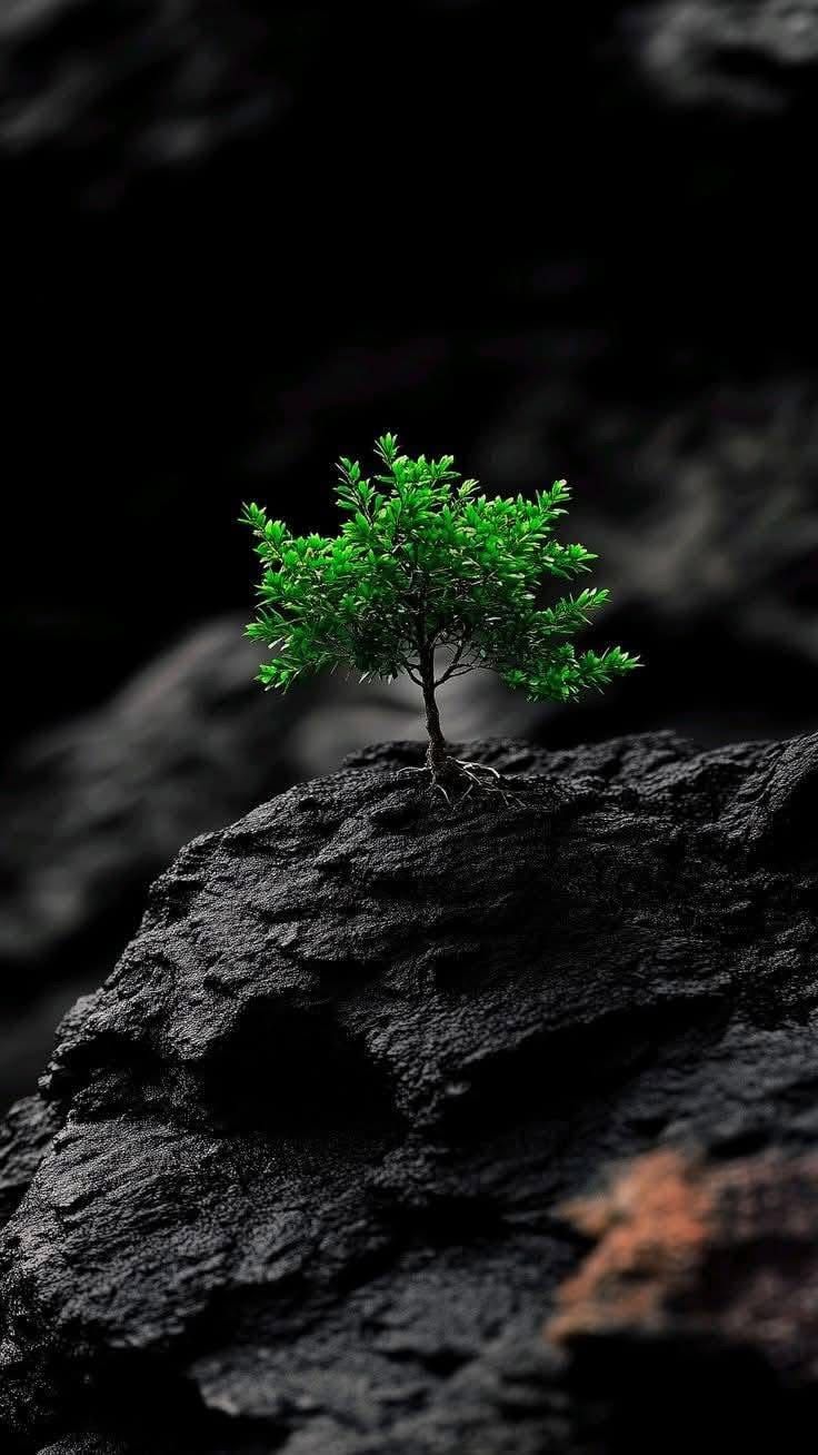 Resilient Green Sprout - nature wallpaper for OpersCraft