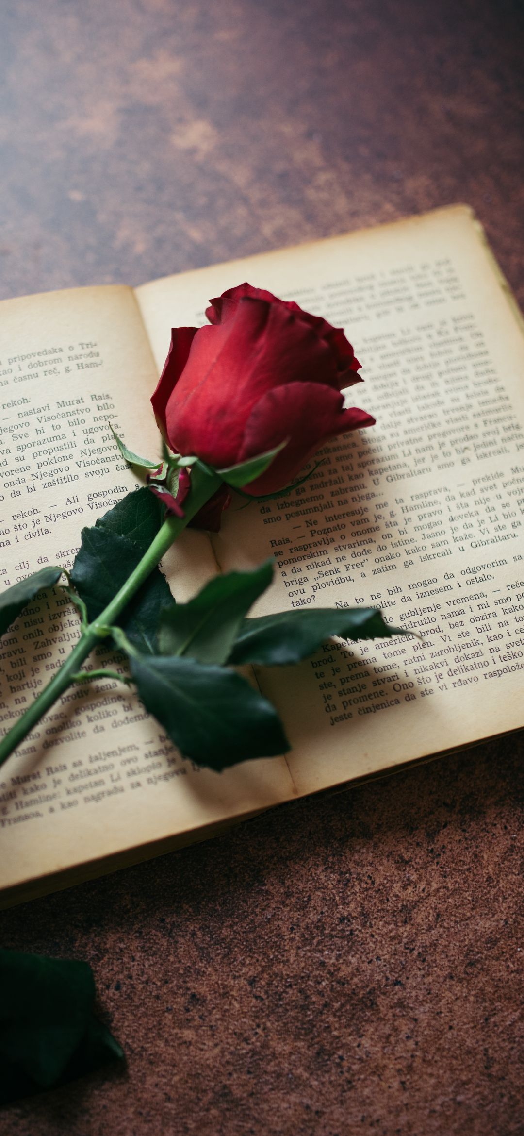 Rose on Open Book - random wallpaper for OpersCraft