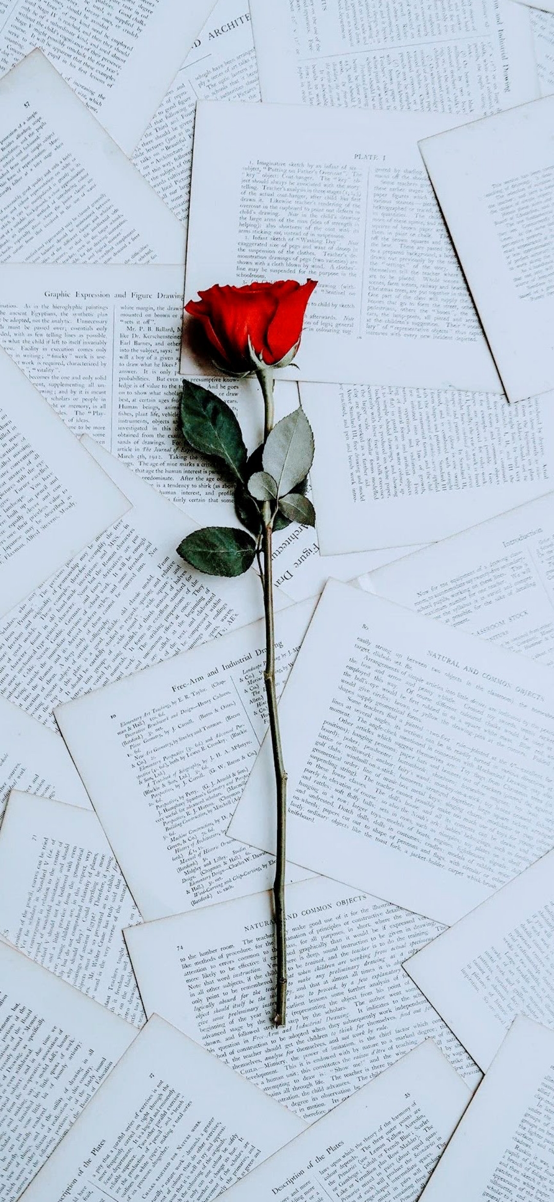 Rose on Vintage Pages - vintage wallpaper for OpersCraft