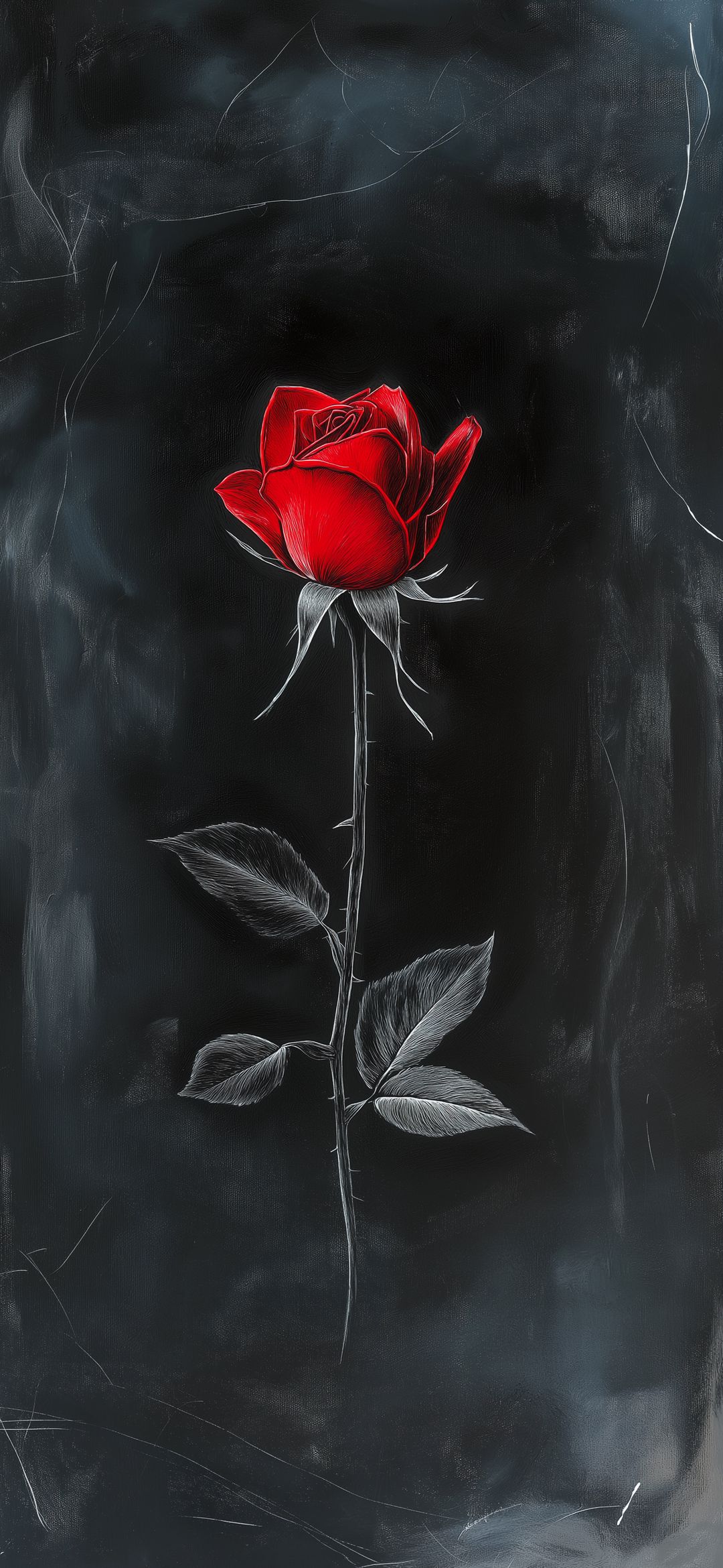Scarlet Rose on Black - floral wallpaper for OpersCraft