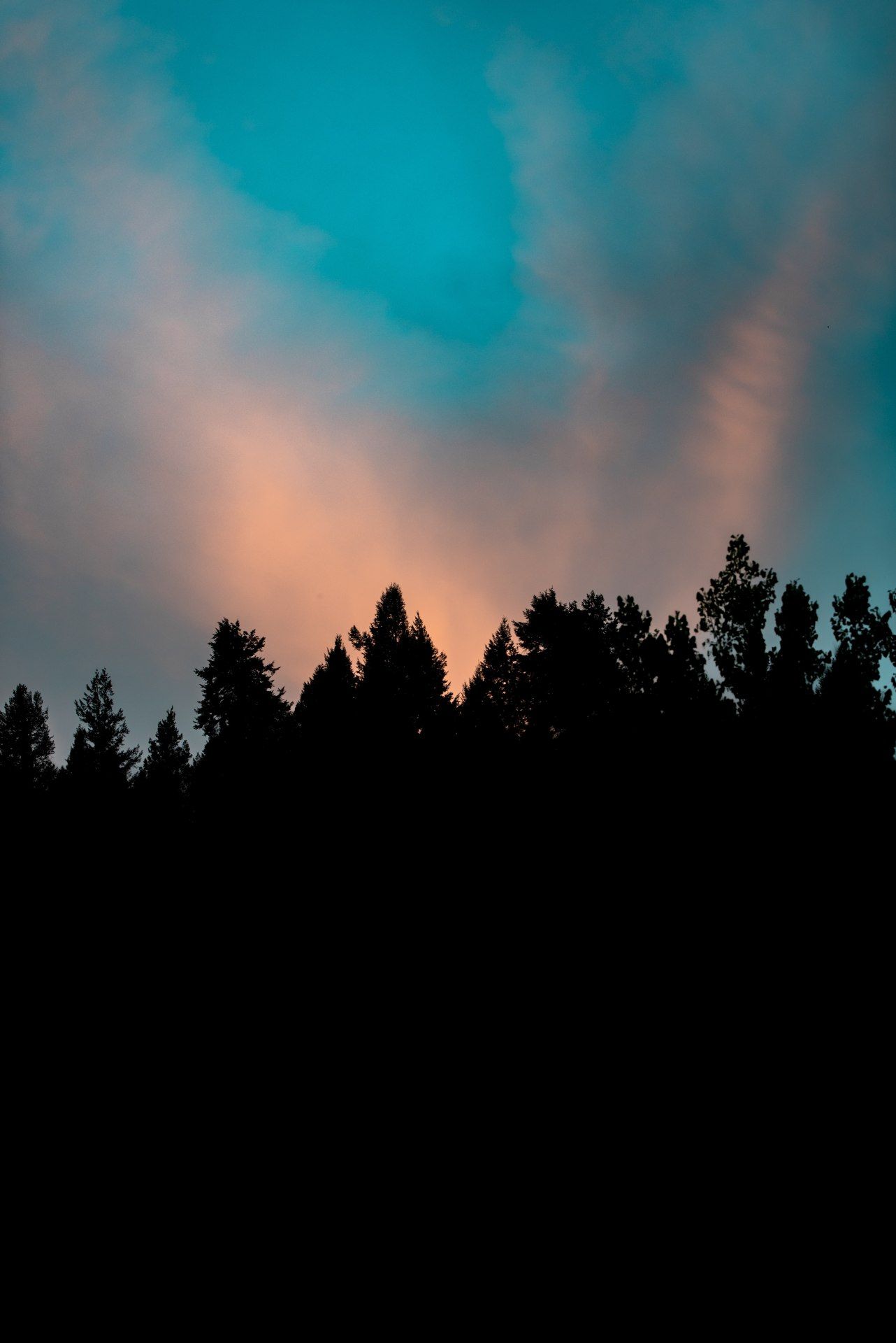 Silhouette Forest Sunset Sky - forest wallpaper for OpersCraft