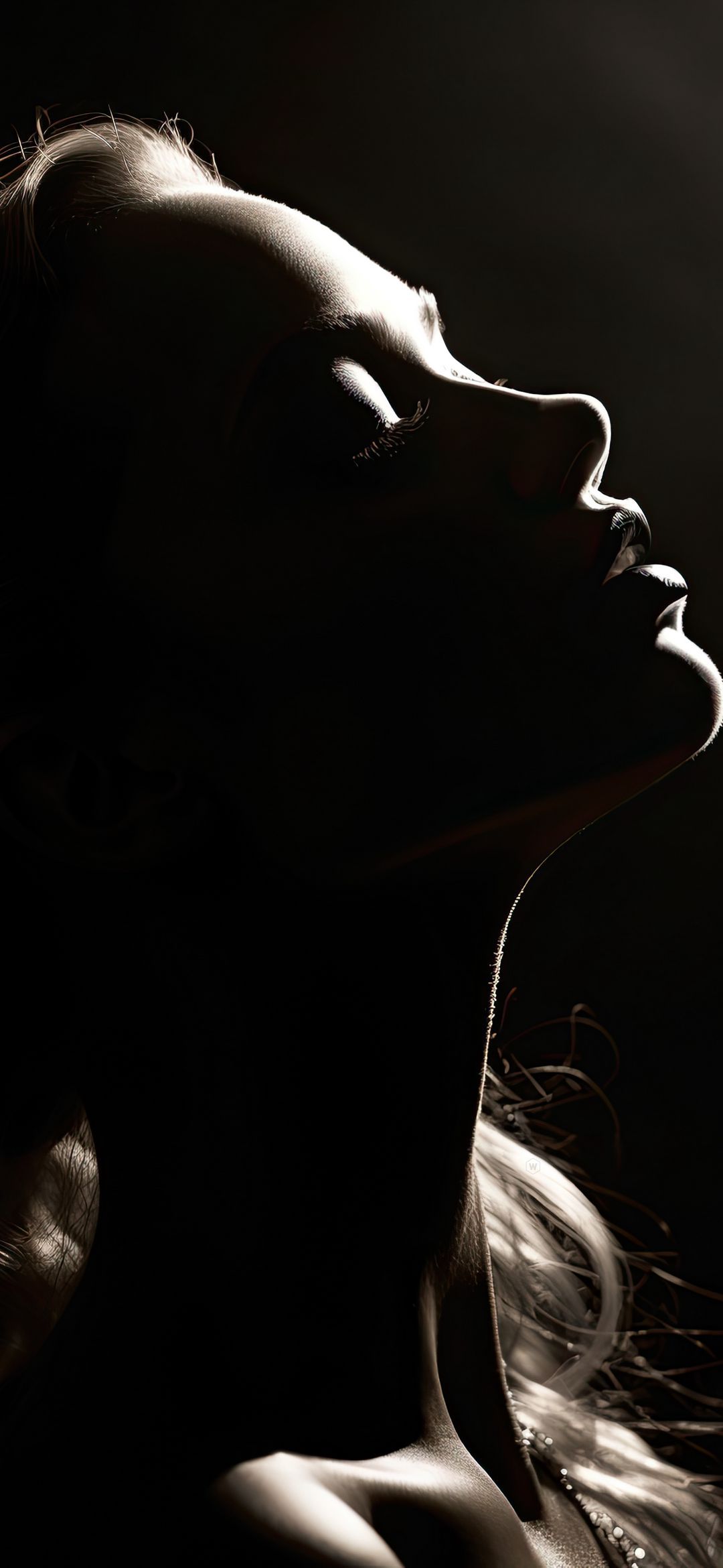 Silhouette of Serenity - portrait wallpaper for OpersCraft