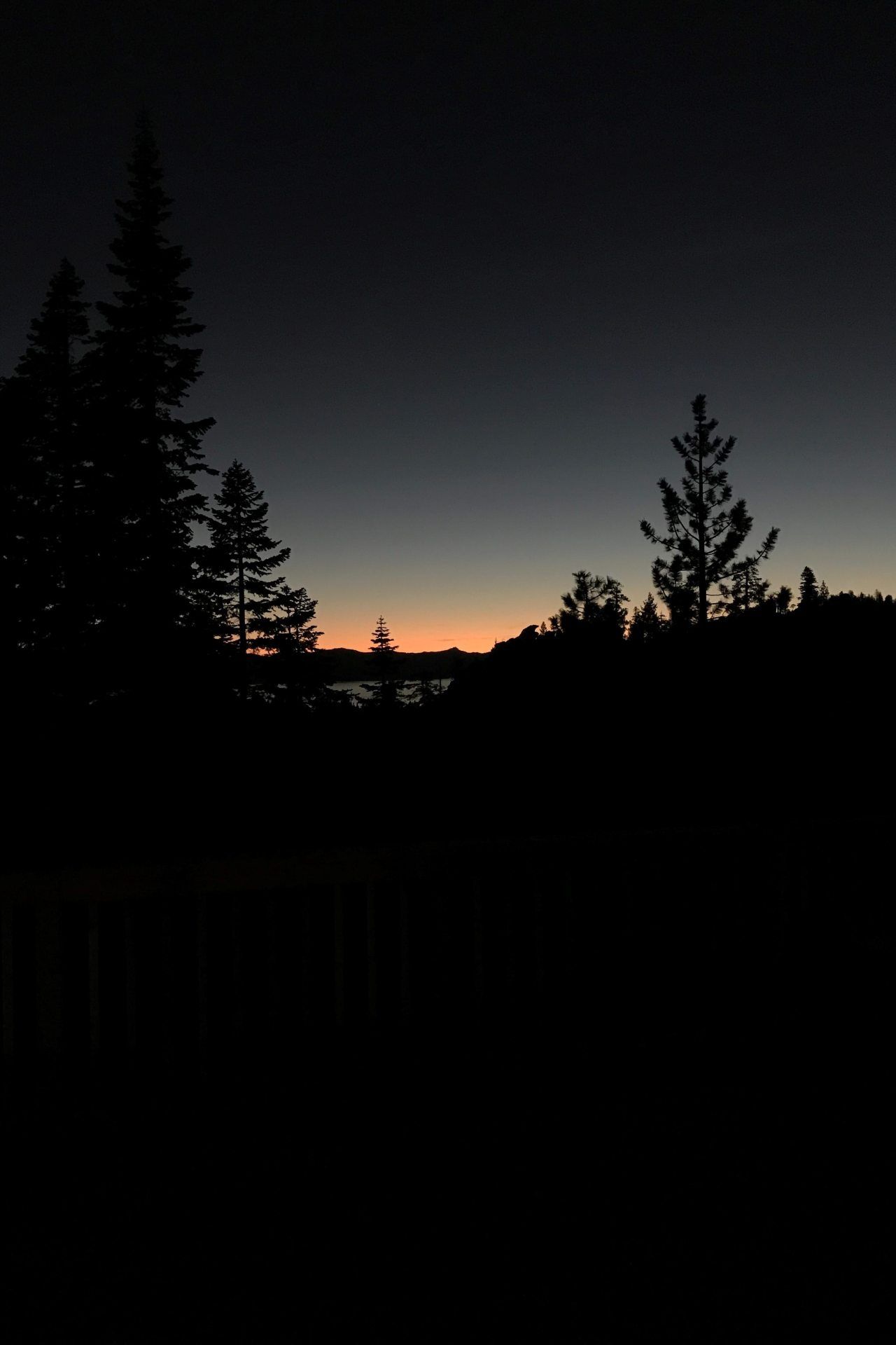 Silhouette Sunset Trees - forest wallpaper for OpersCraft