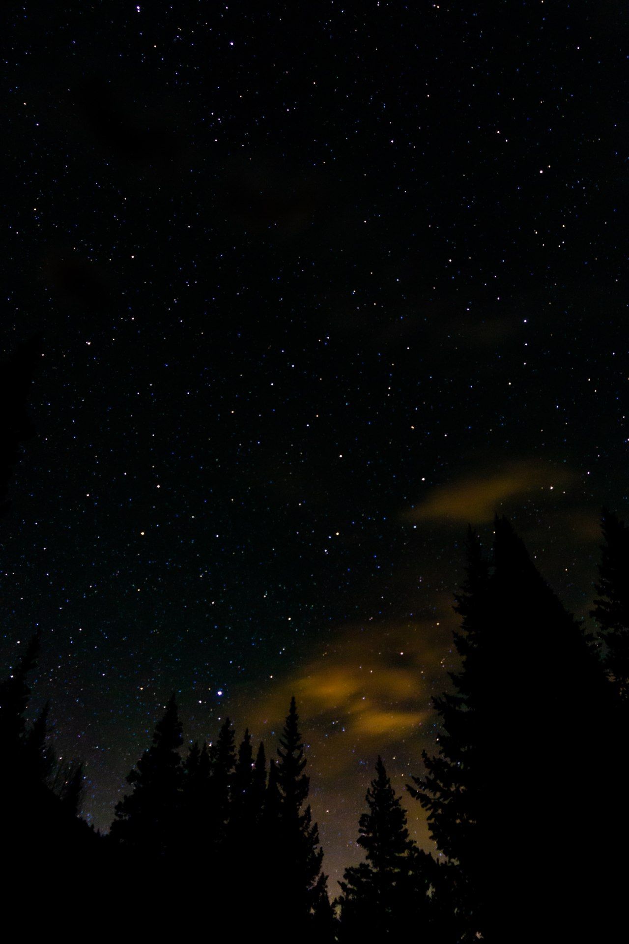 Starry Night Forest - nature wallpaper for OpersCraft