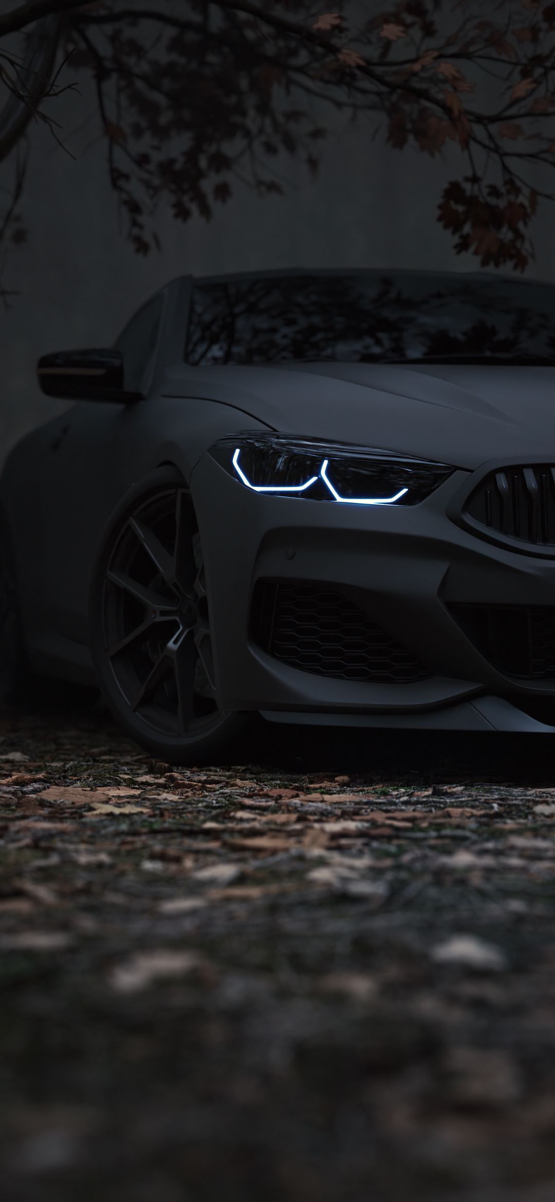 Stealth BMW Autumn Night - bmw wallpaper for OpersCraft