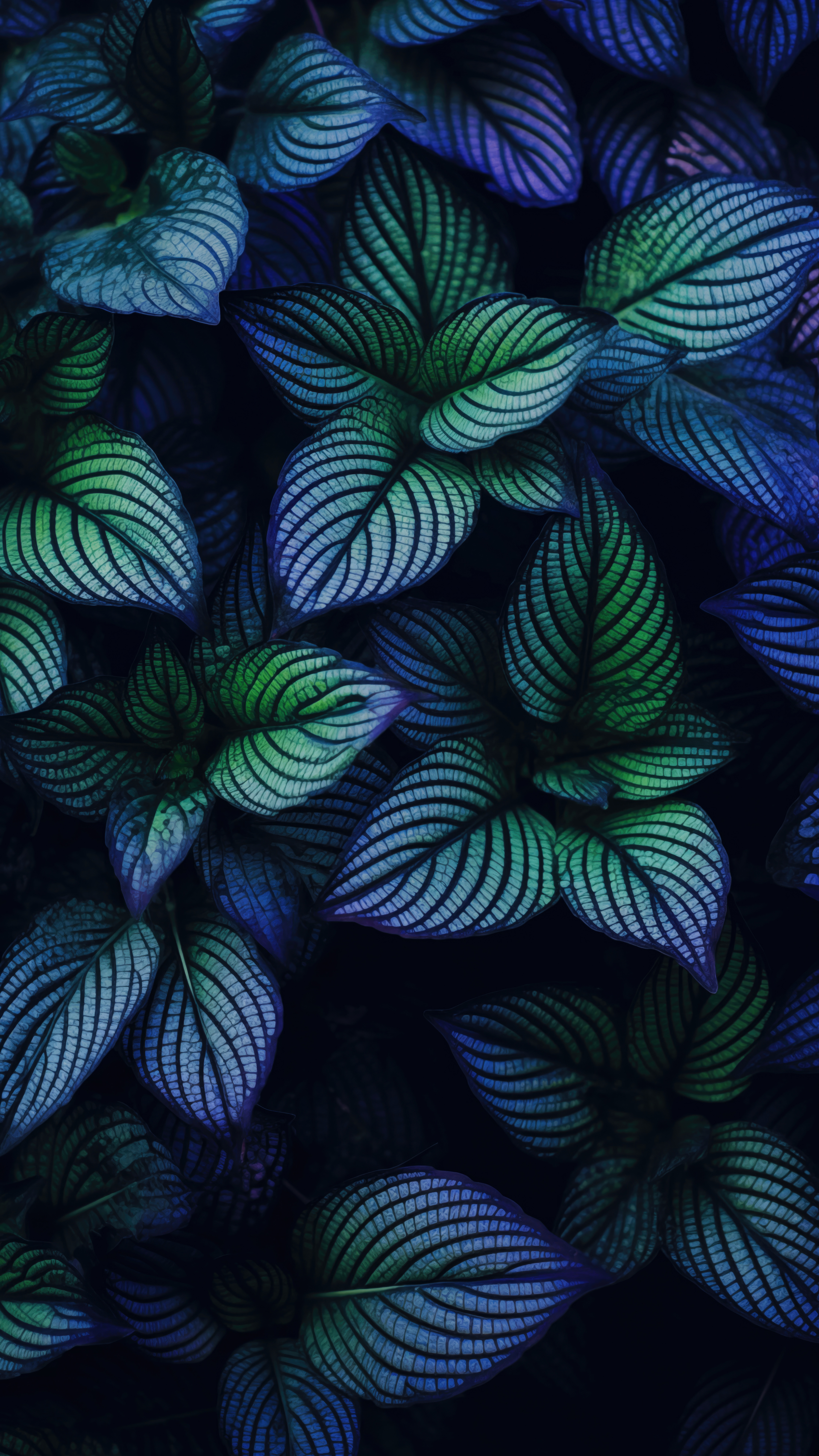 Striking Striped Leaf Pattern - abstract wallpaper for OpersCraft