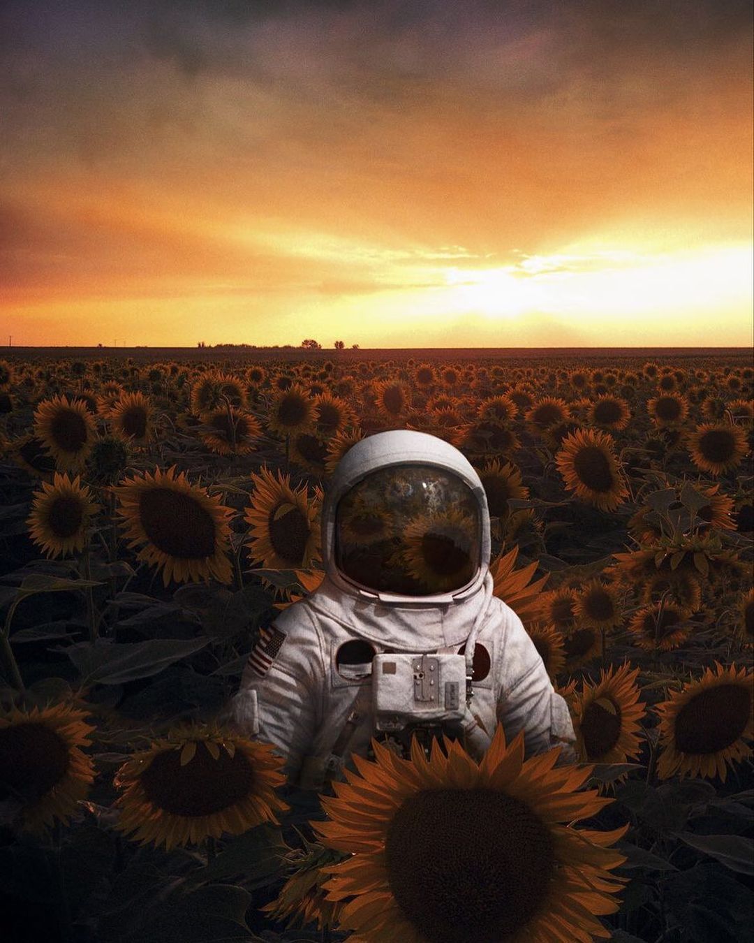 Sunflower Field Astronaut - astronaut wallpaper for OpersCraft