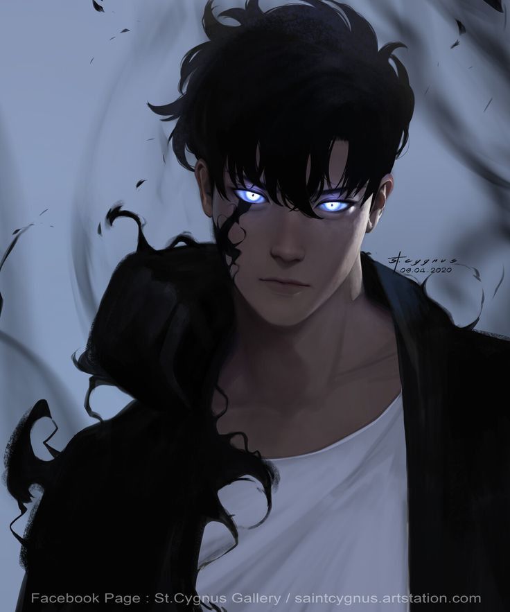 Sung Jin-Woo Portrait - anime wallpaper for OpersCraft