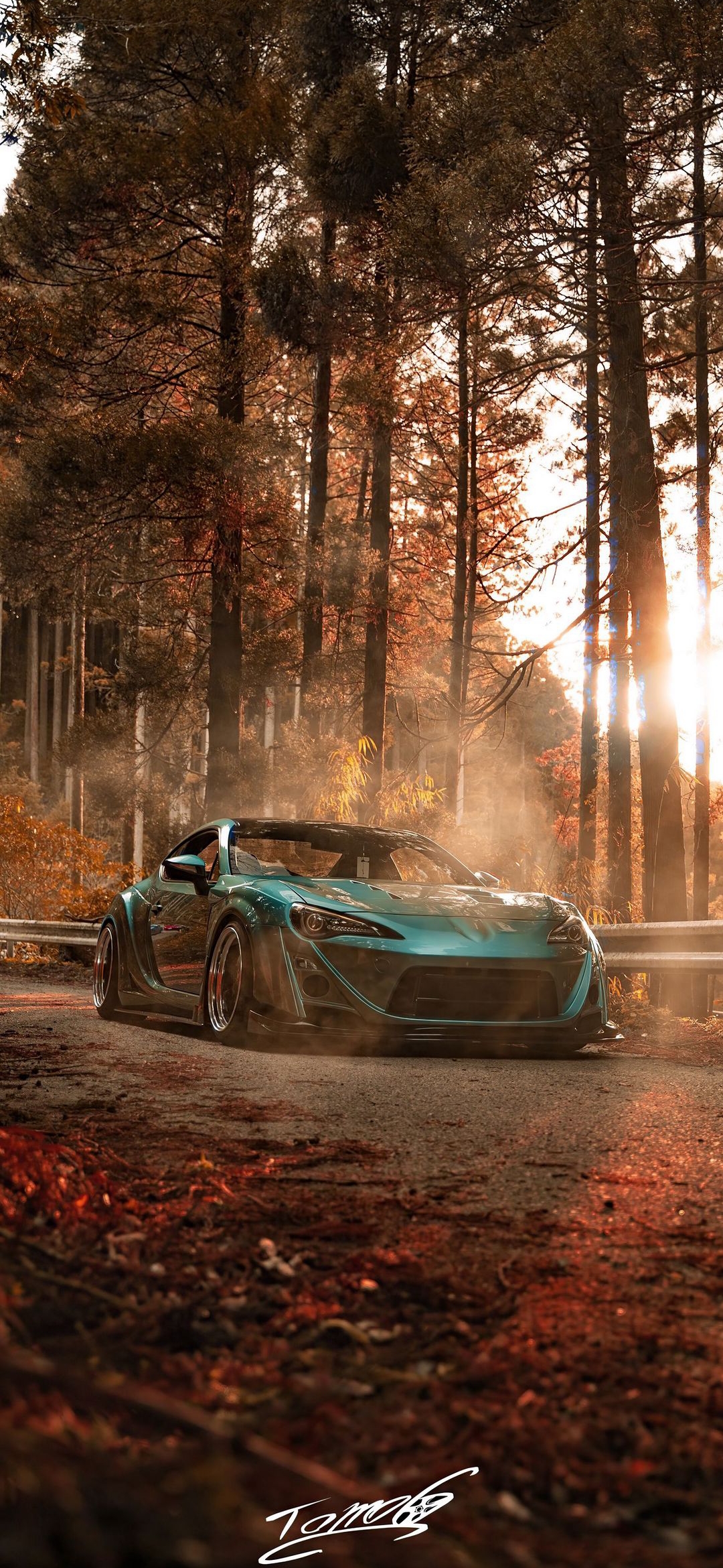 Teal Car Forest Drive - cars wallpaper for OpersCraft