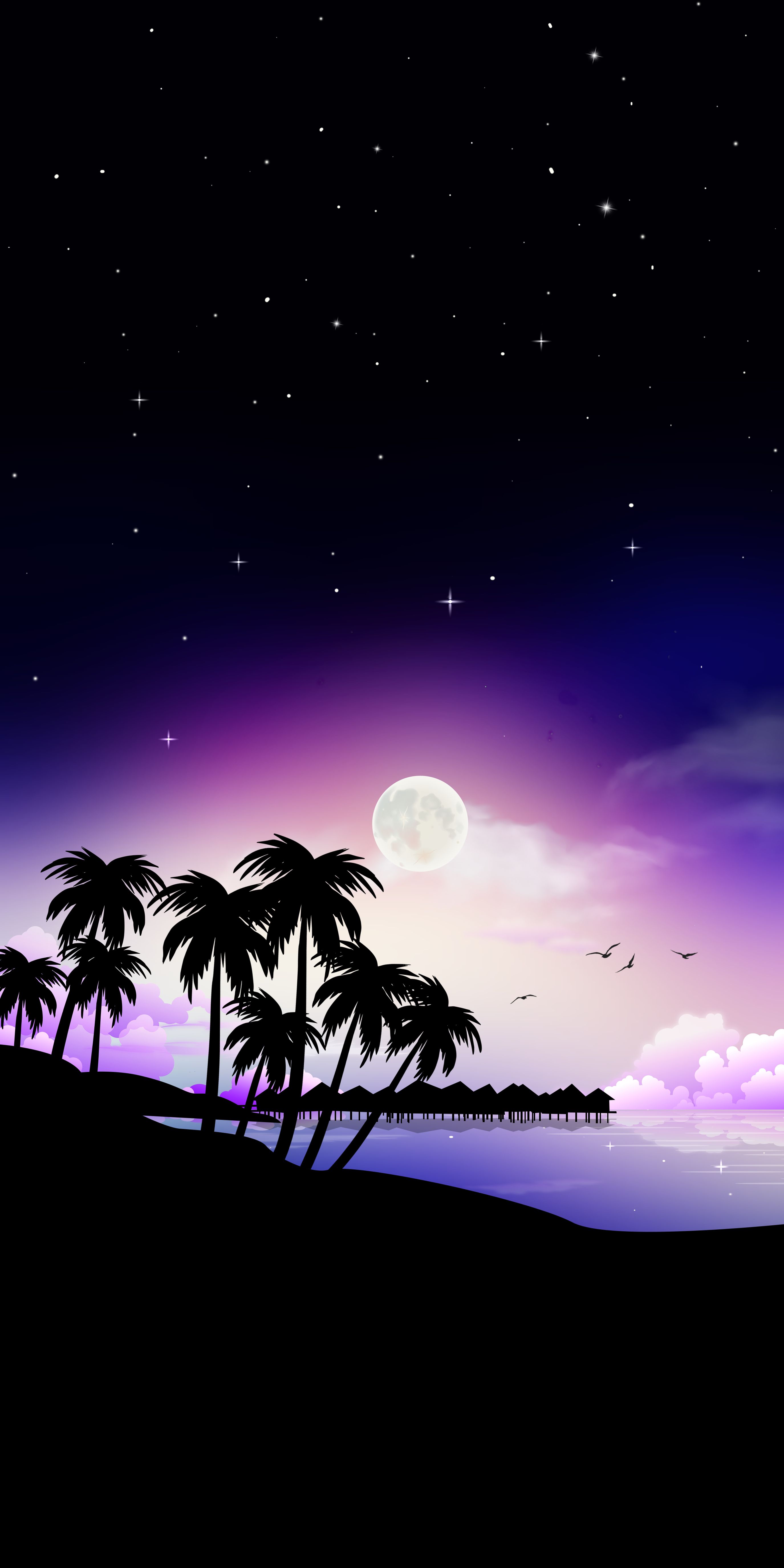 Tropical Night Sky - beach wallpaper for OpersCraft