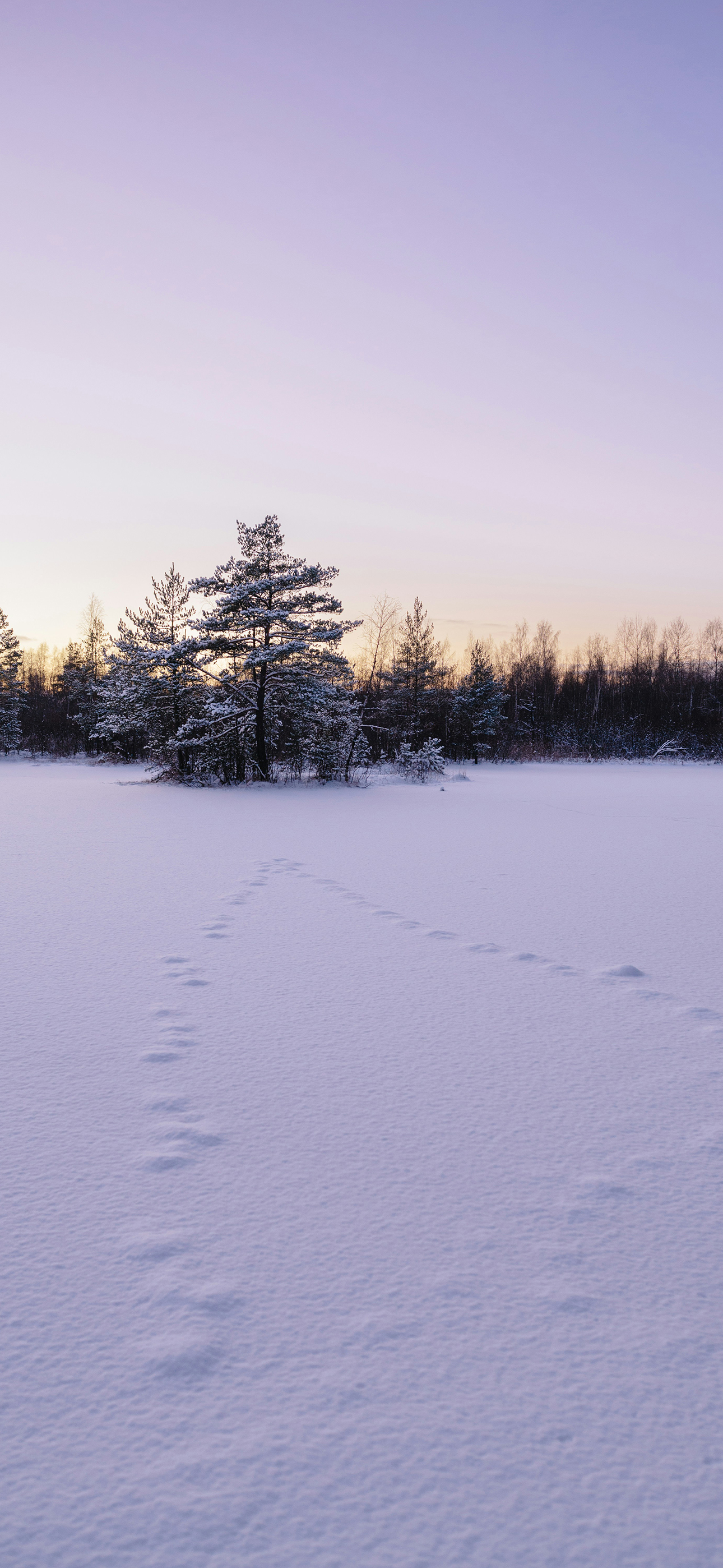 Winter Footprints in Snow - winter wallpaper for OpersCraft