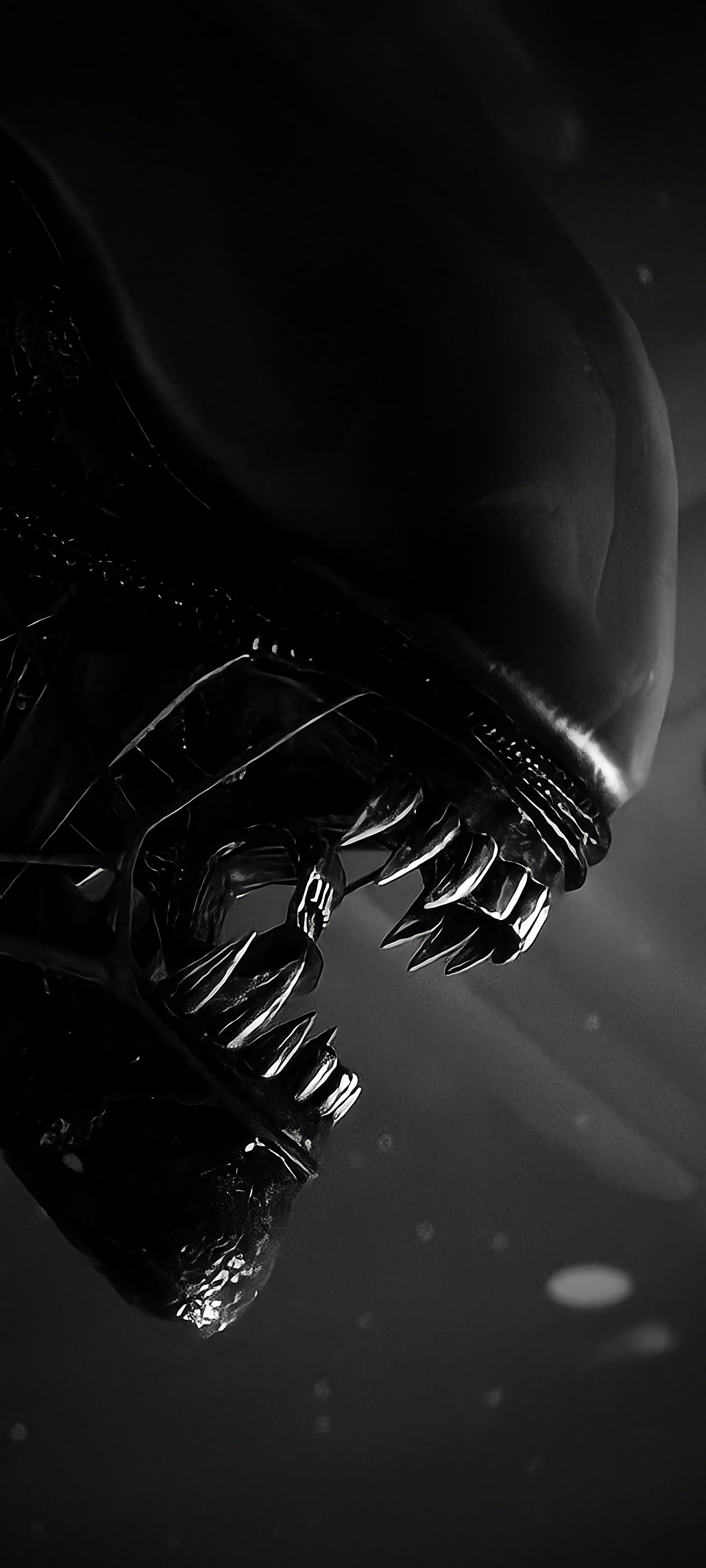 Xenomorph Black and White - alien wallpaper for OpersCraft