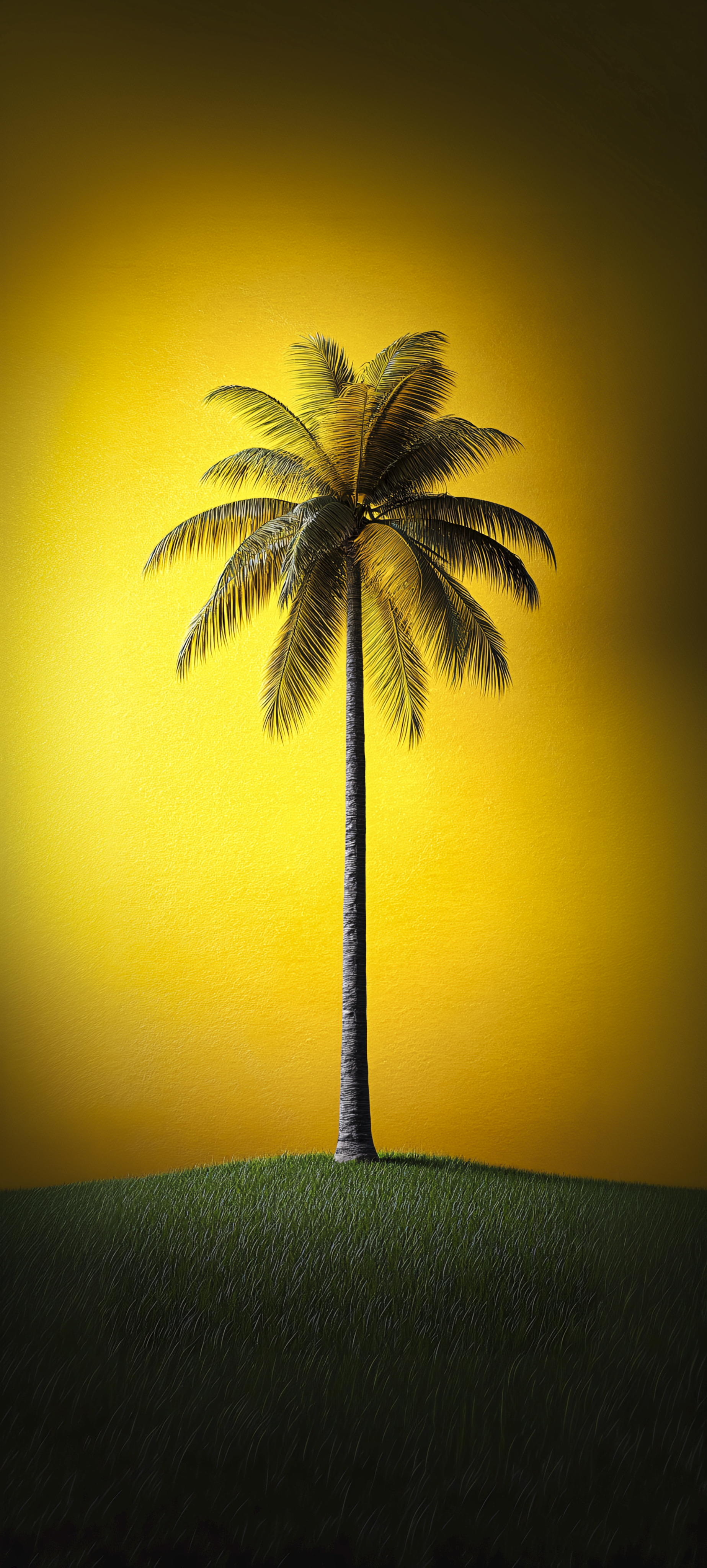 Minimalist Palm Tree Art - tropical wallpaper for StockWalls