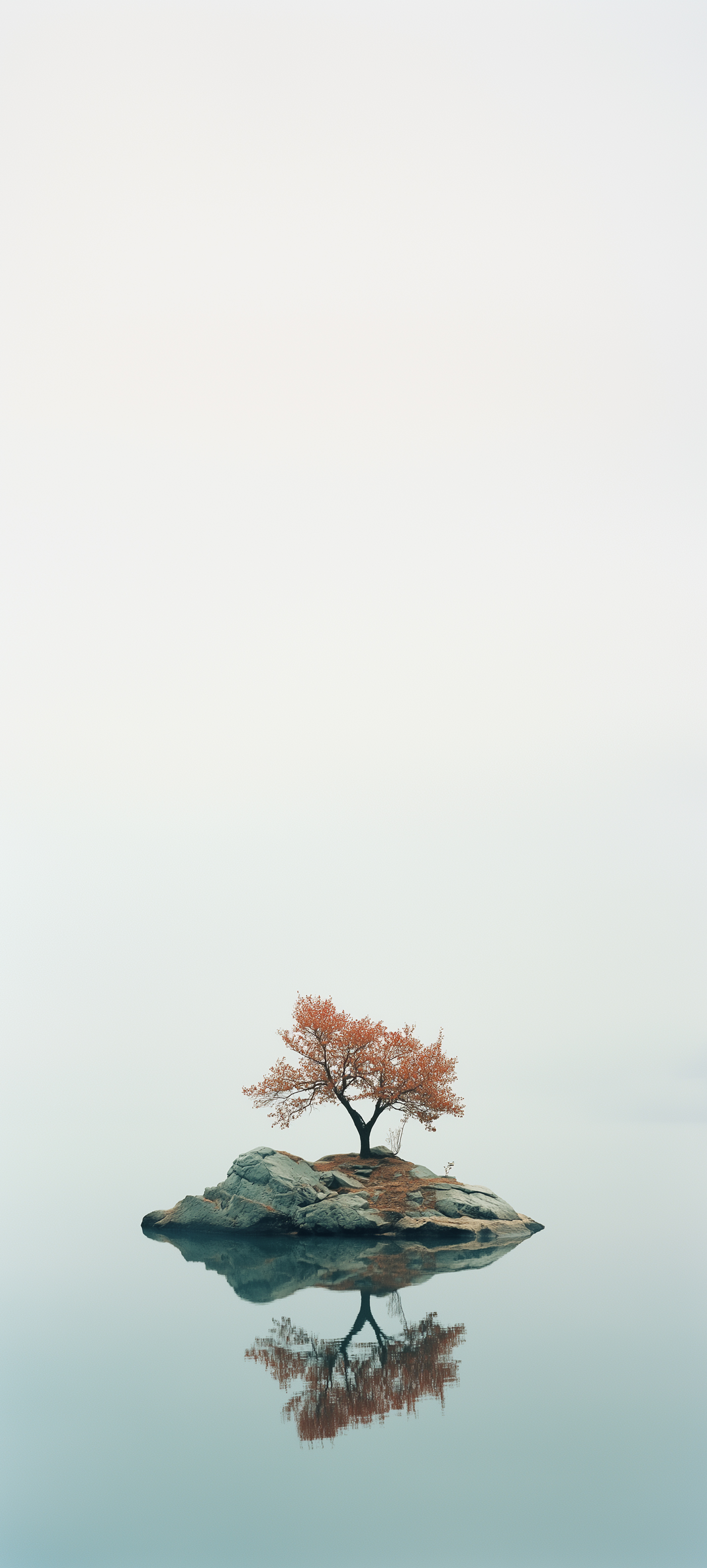 Lonely Tree on Island - tree wallpaper for StockWalls