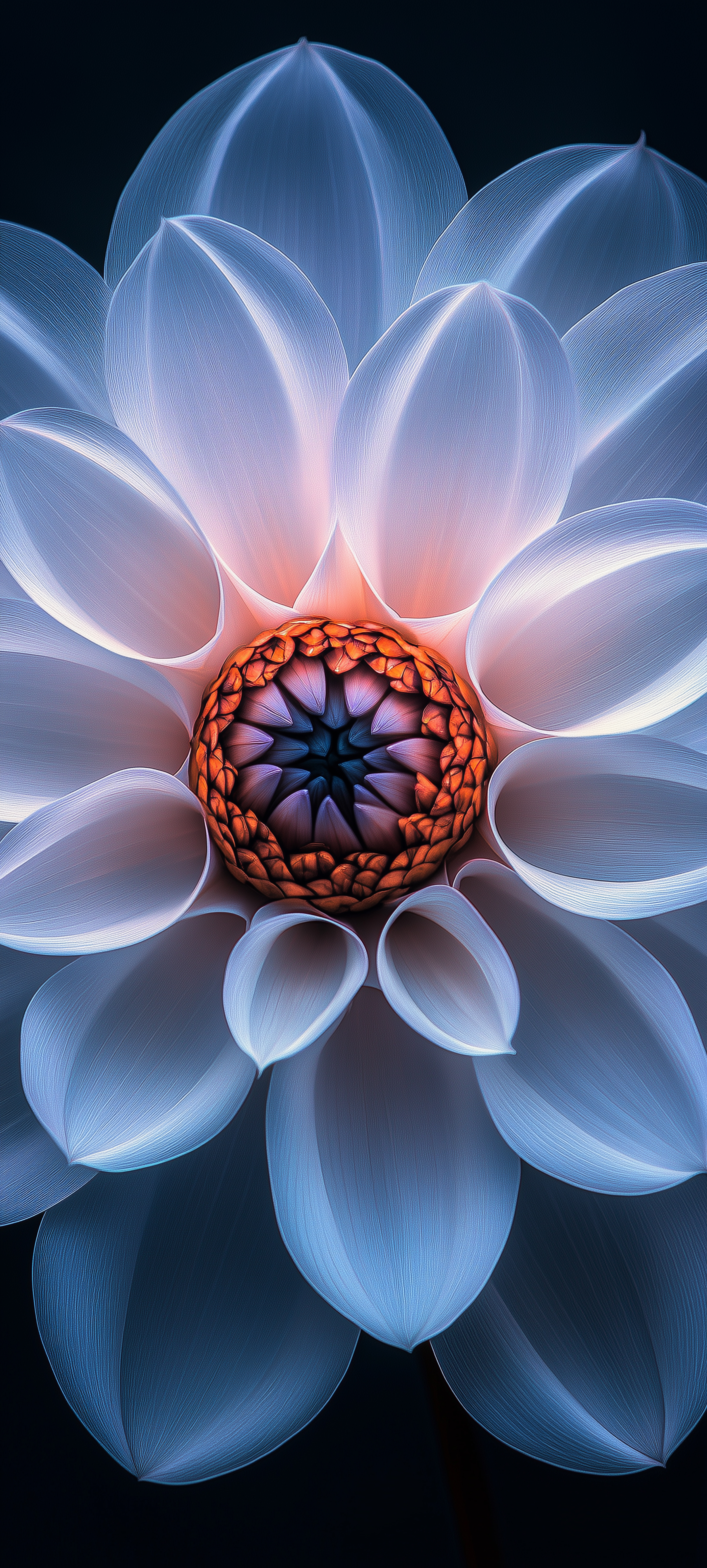 Glowing Blue Dahlia Bloom - flowers wallpaper for StockWalls