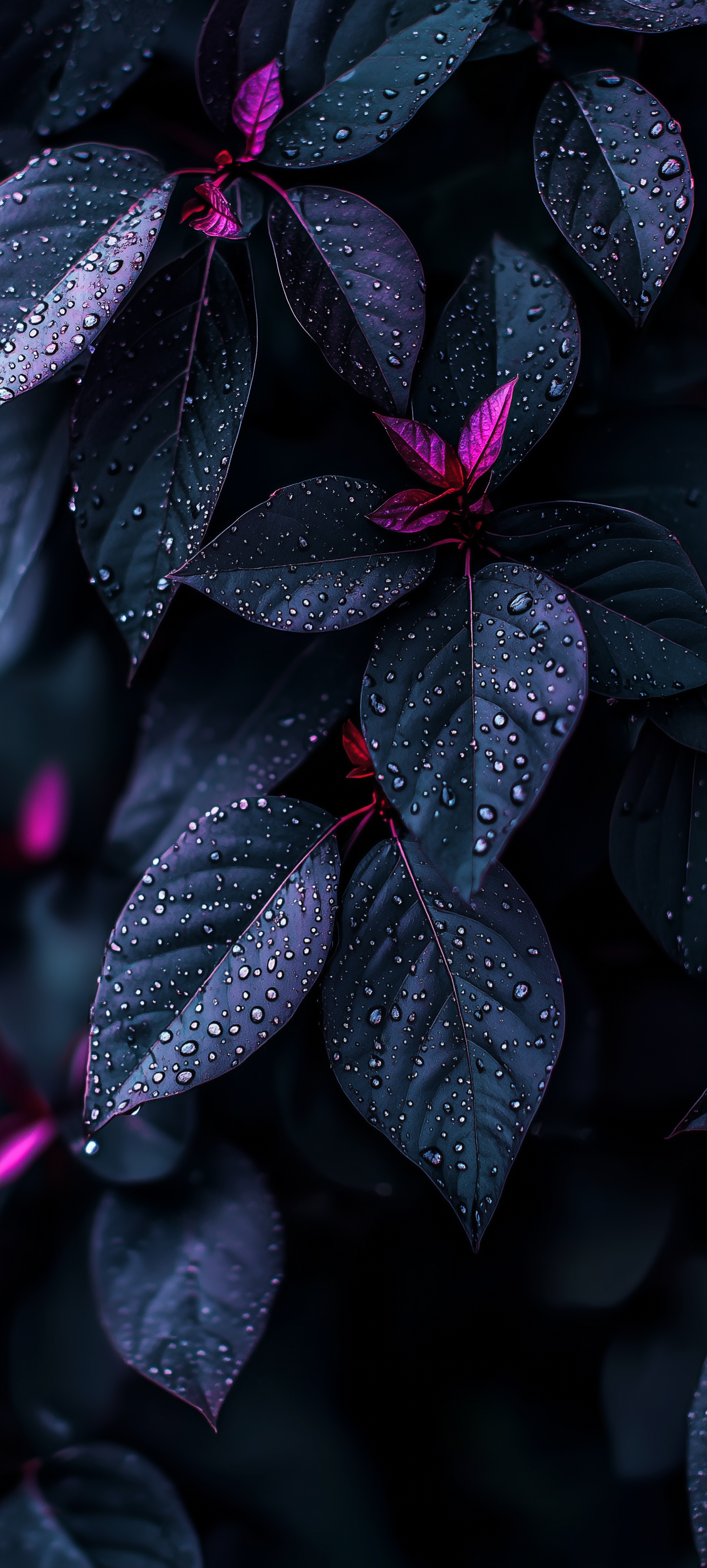 Dark Neon Rain Leaves - botanical wallpaper for StockWalls