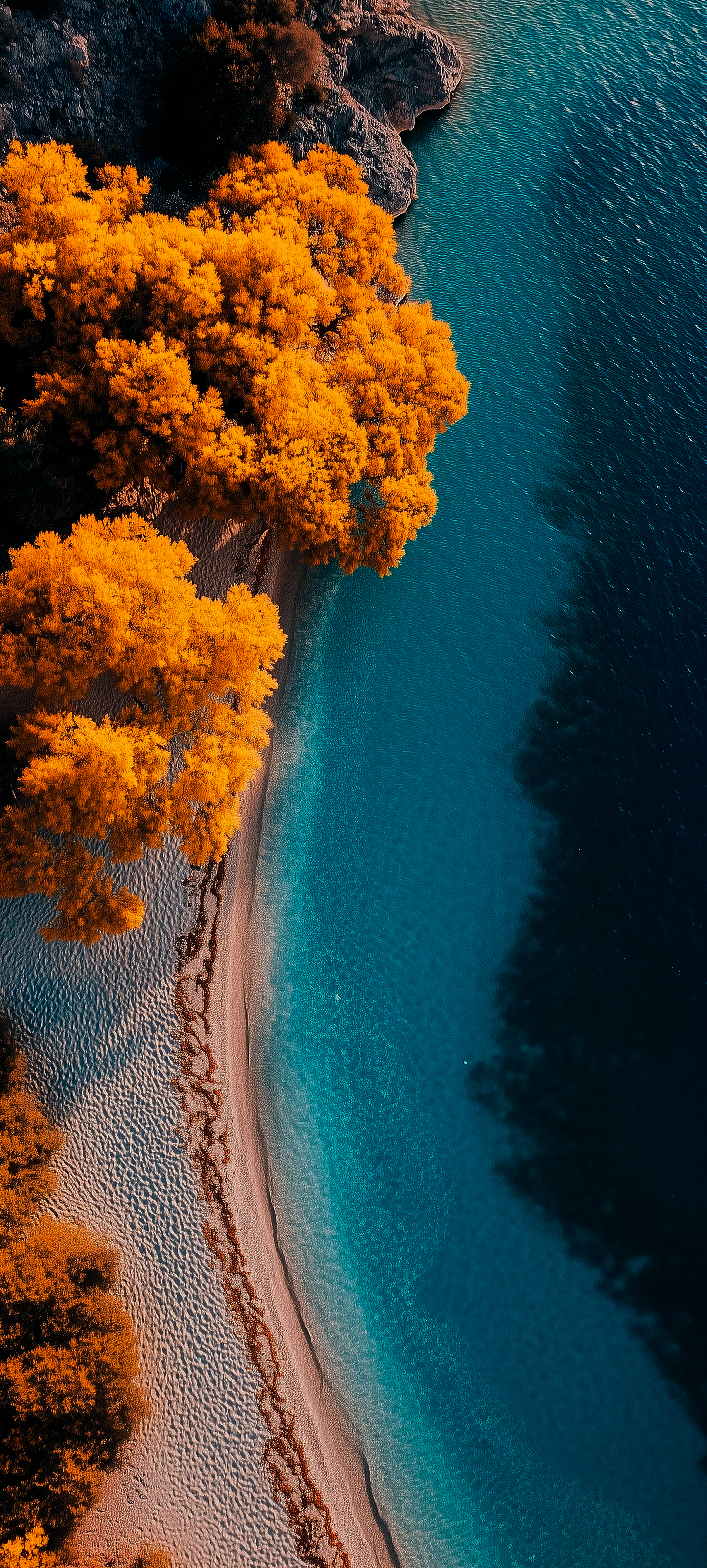 Golden Autumn Lakeside View - nature wallpaper for StockWalls