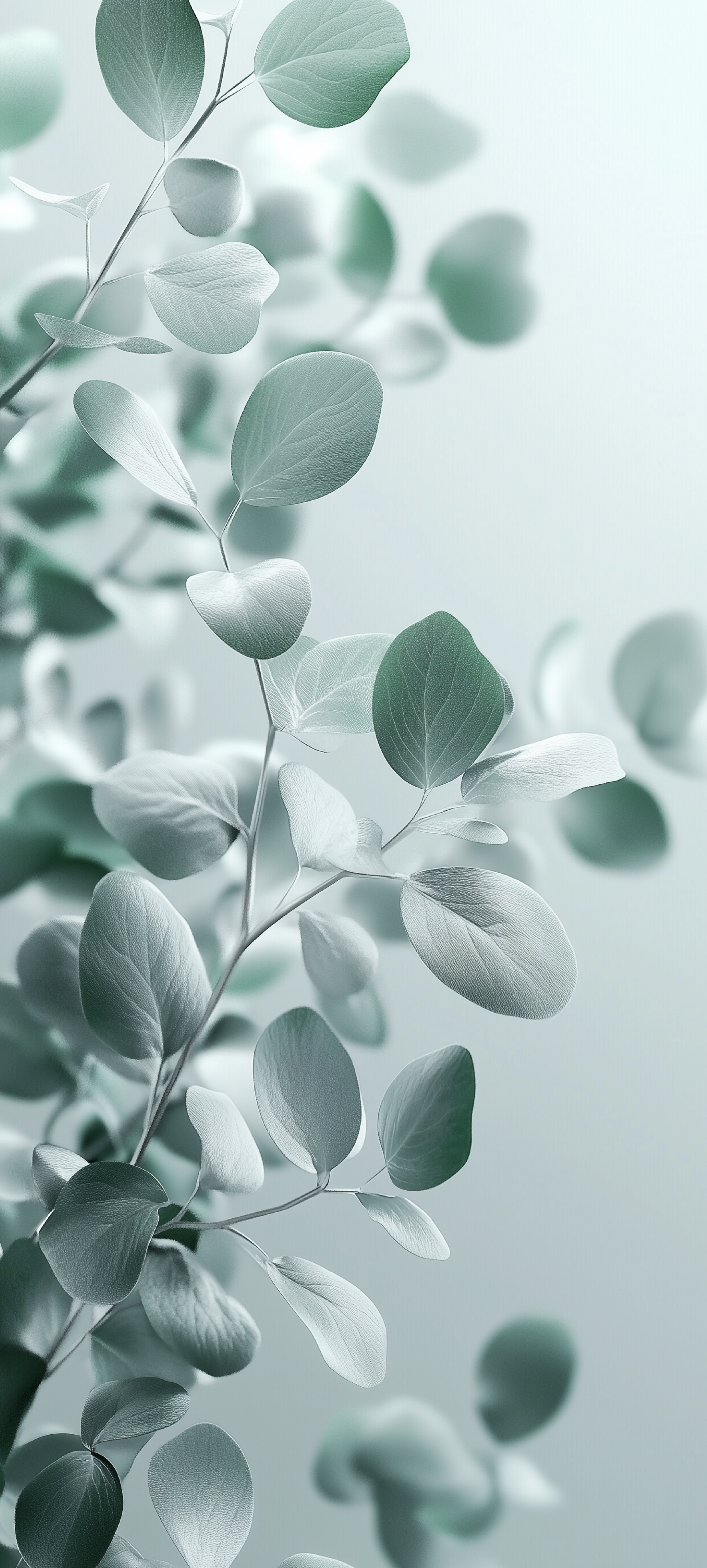 Soft Green Eucalyptus Leaves - botanical wallpaper for StockWalls