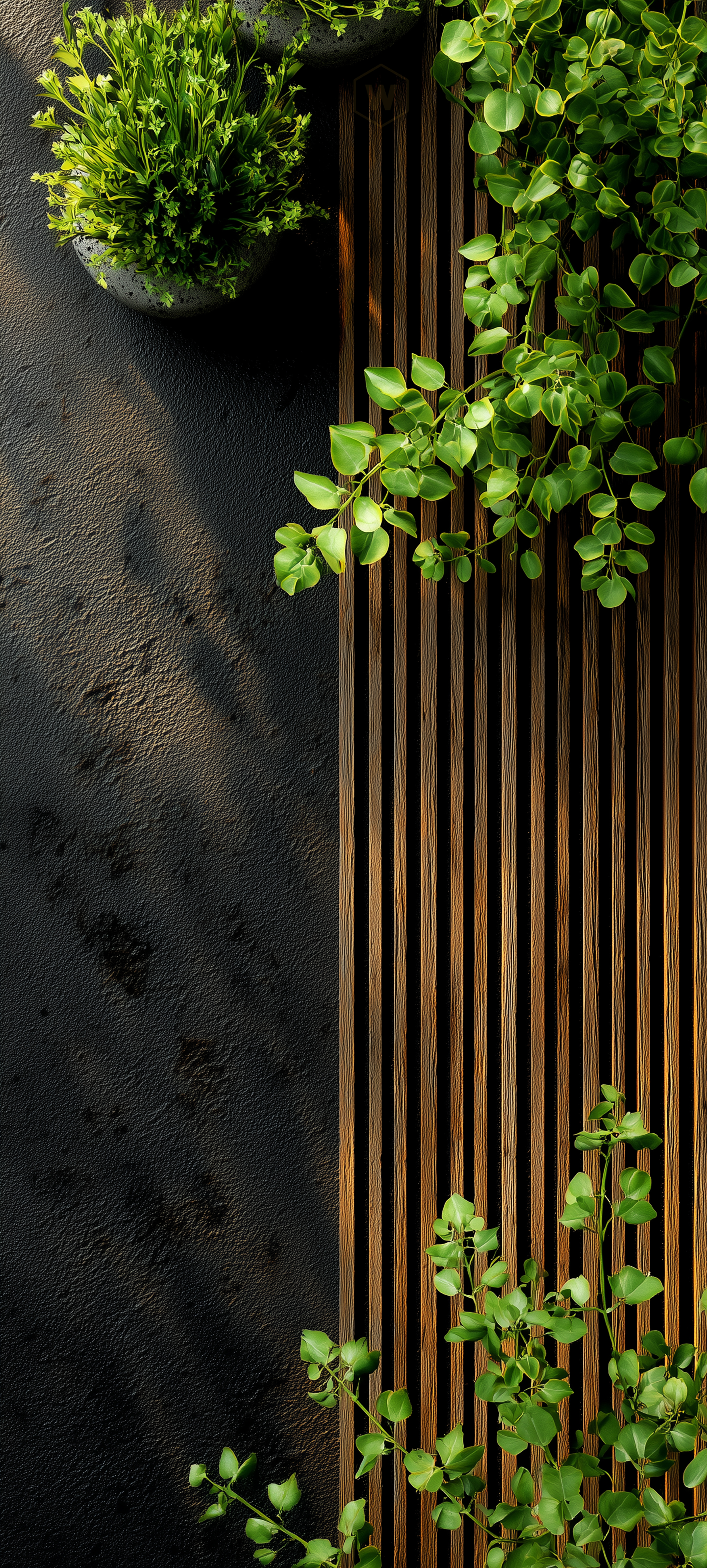 Modern Minimalist Plant Decor - minimal wallpaper for StockWalls