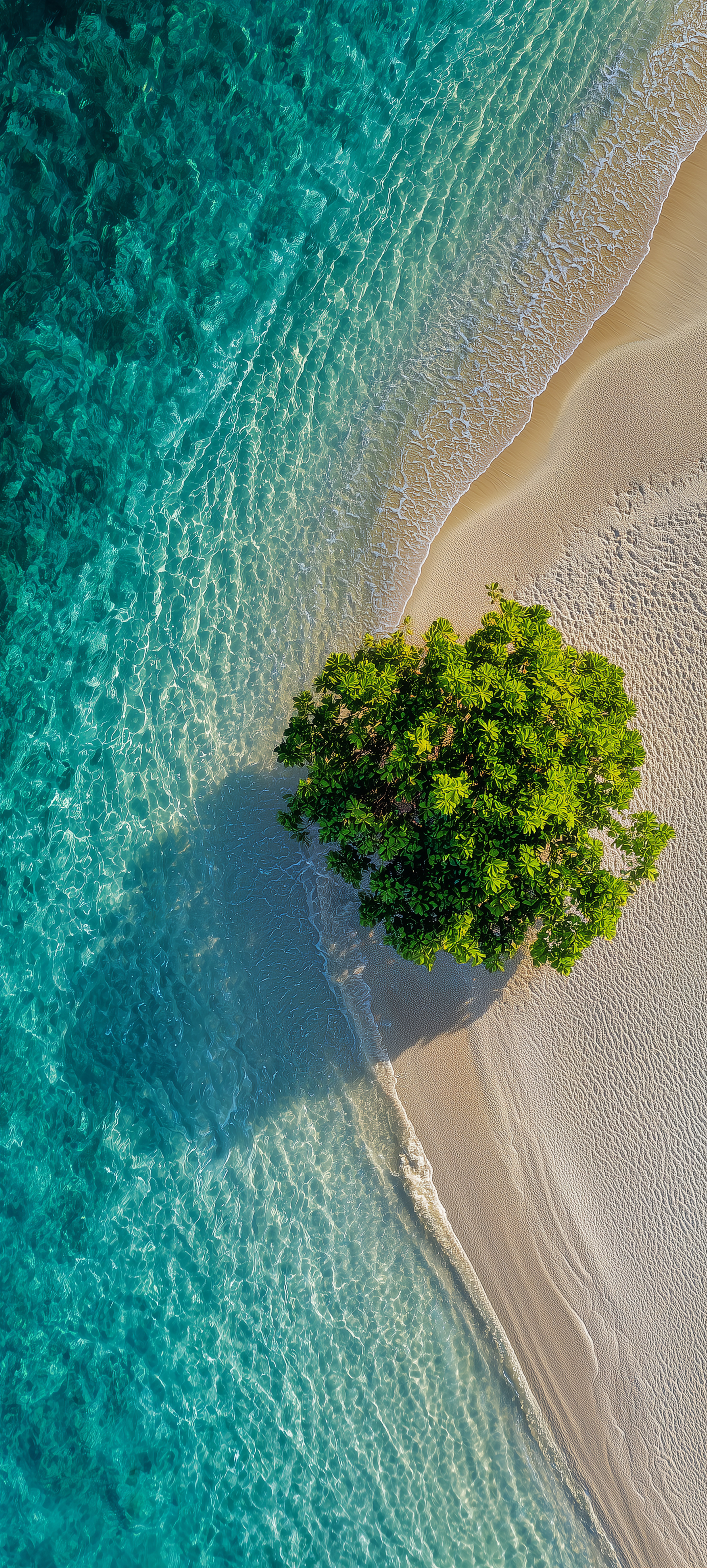 Aerial Tropical Beach View - beach wallpaper for StockWalls
