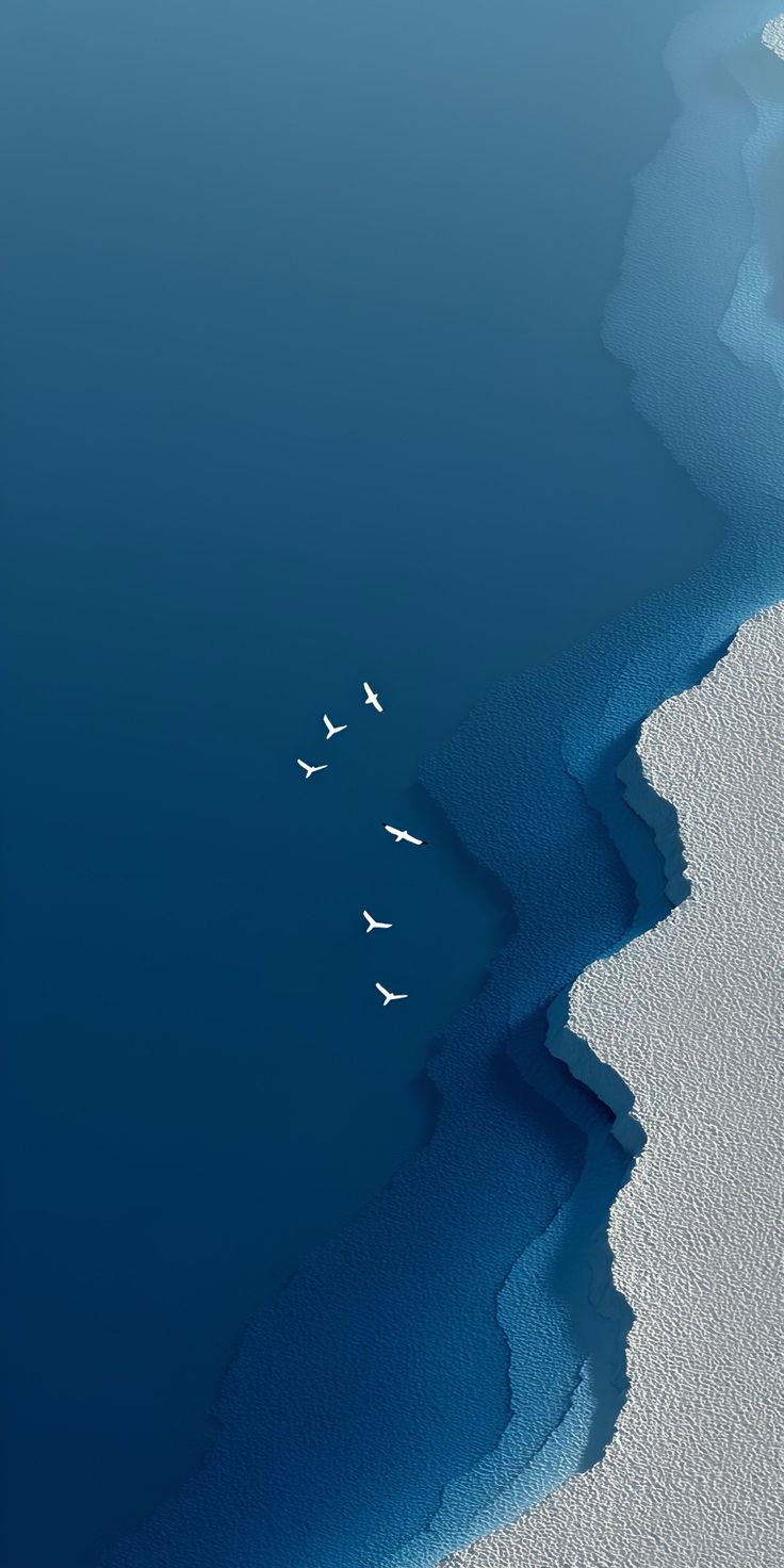 Minimalist Blue Ocean Birds - minimal wallpaper for StockWalls