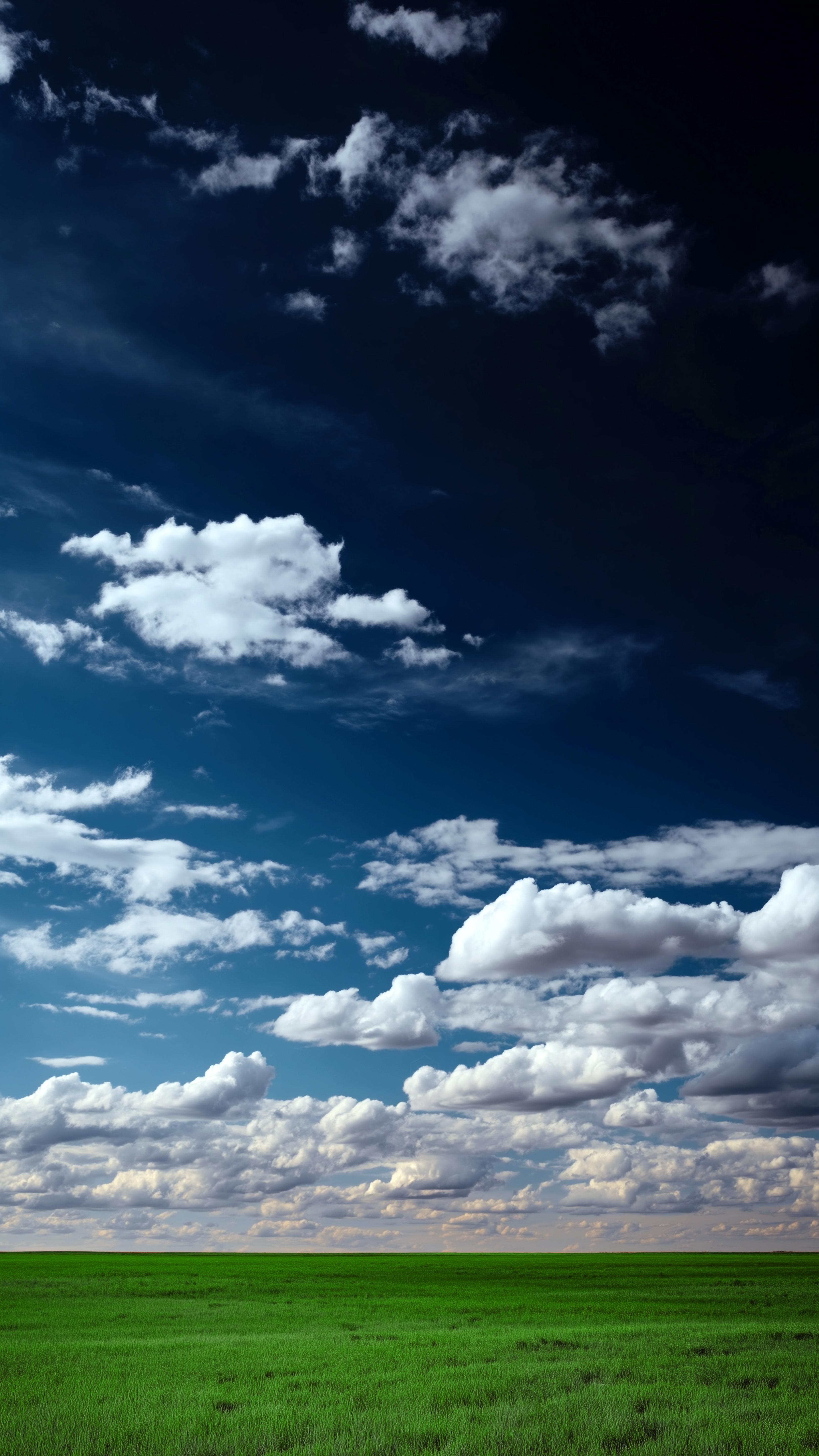 Vibrant Green Meadow Sky - nature wallpaper for StockWalls