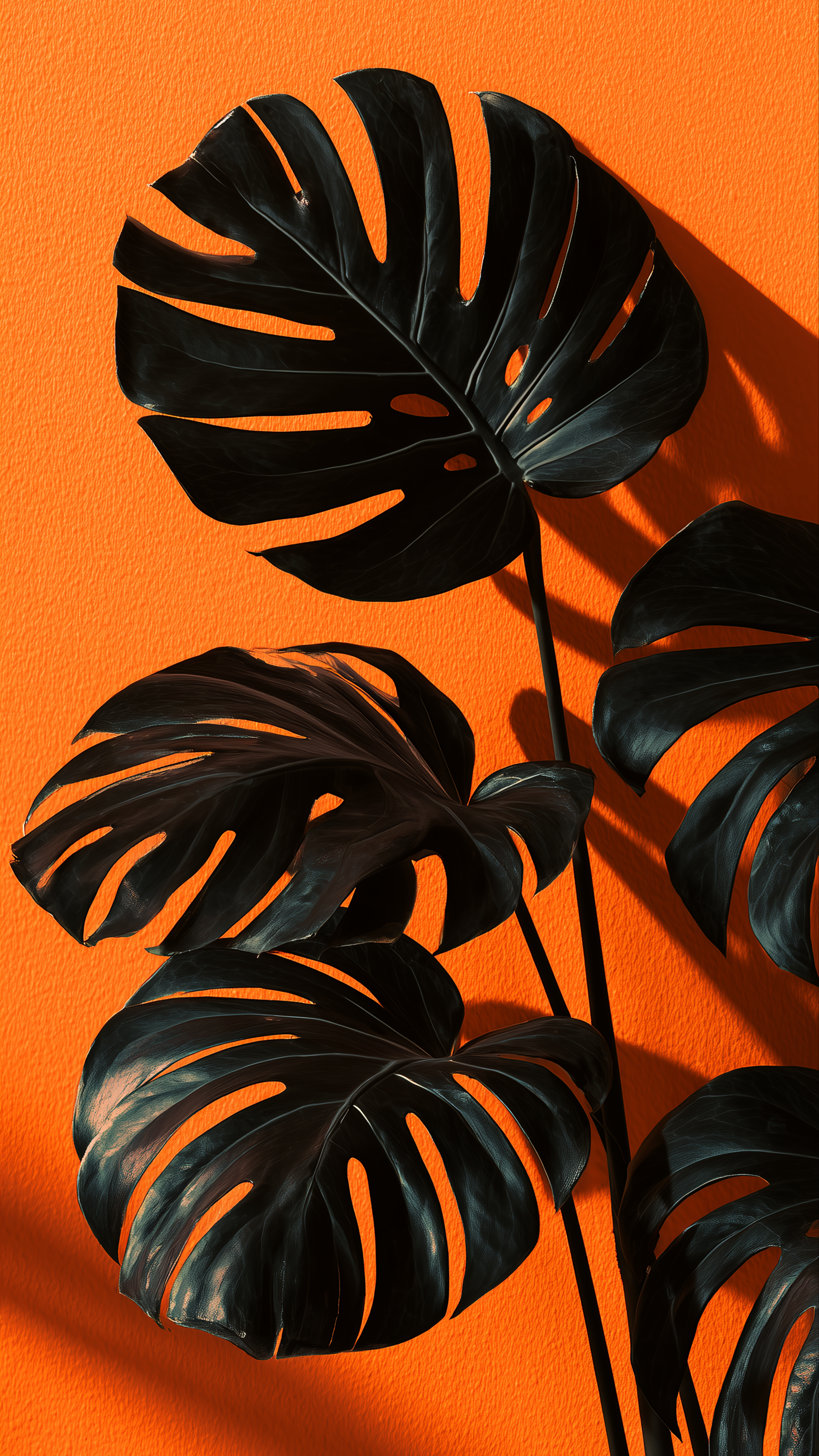 Black Monstera Orange Wall - botanical wallpaper for StockWalls