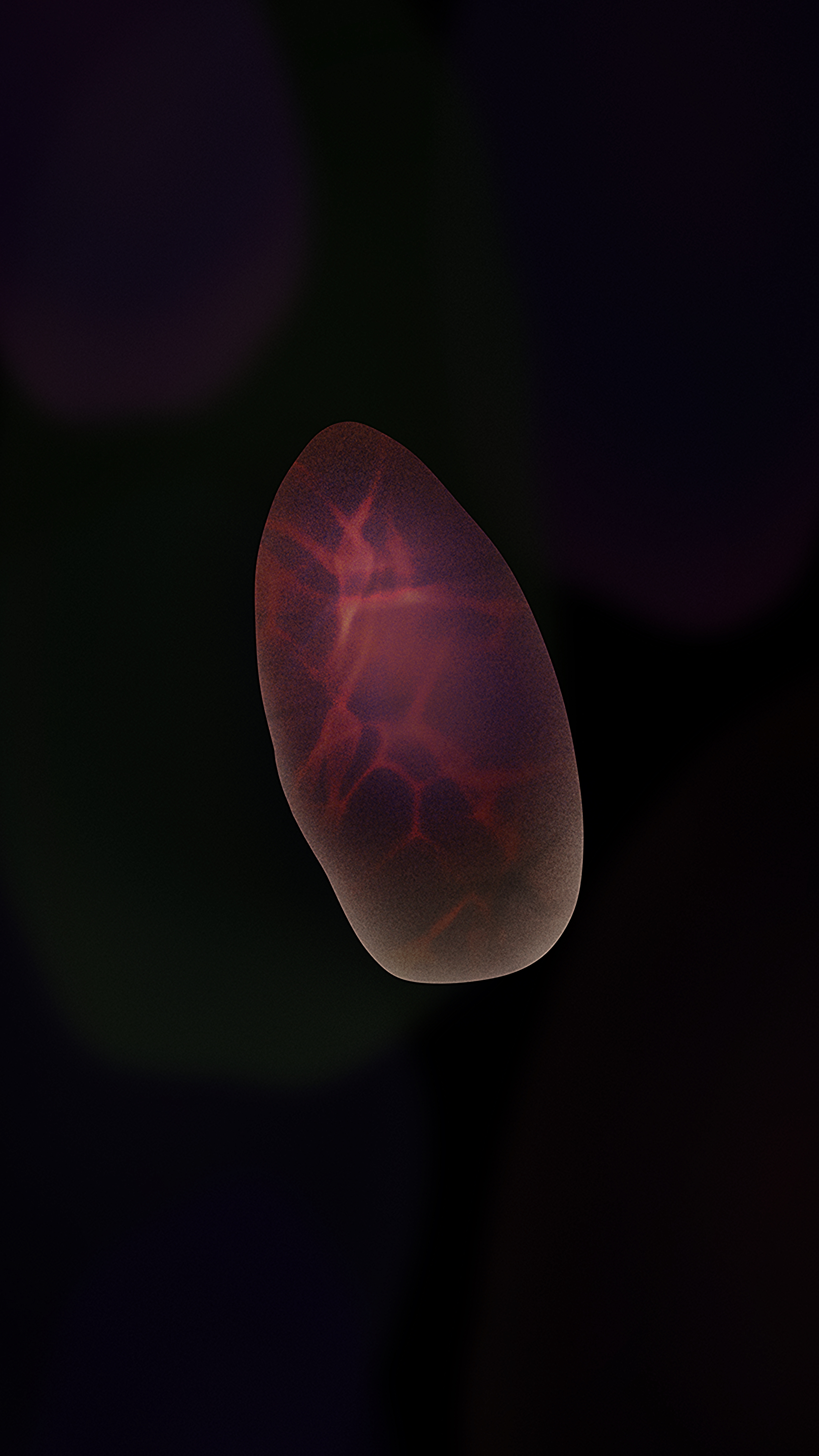 Glowing Red Abstract Form - abstract wallpaper for StockWalls