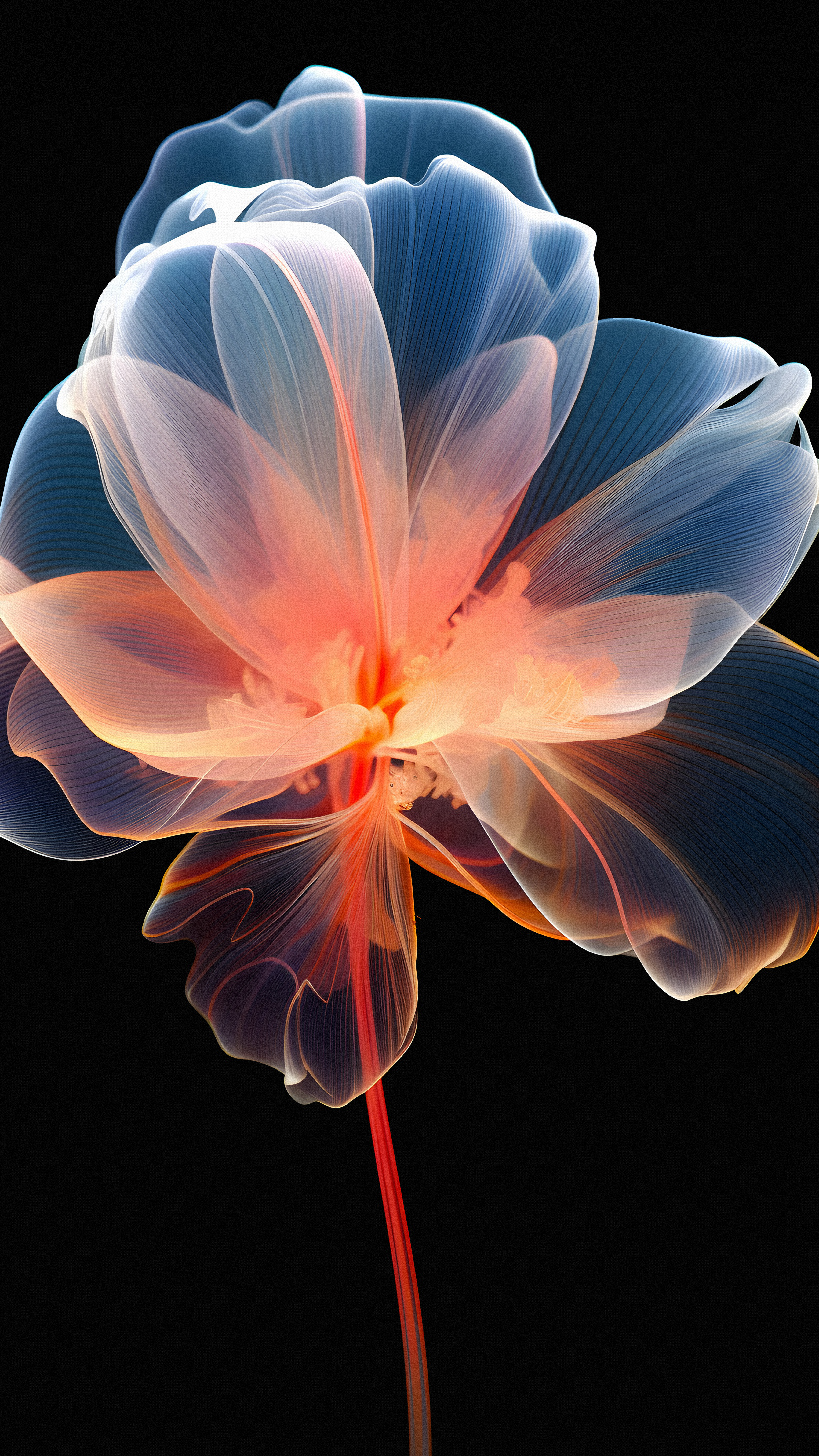 Glowing Translucent Abstract Flower - abstract wallpaper for StockWalls