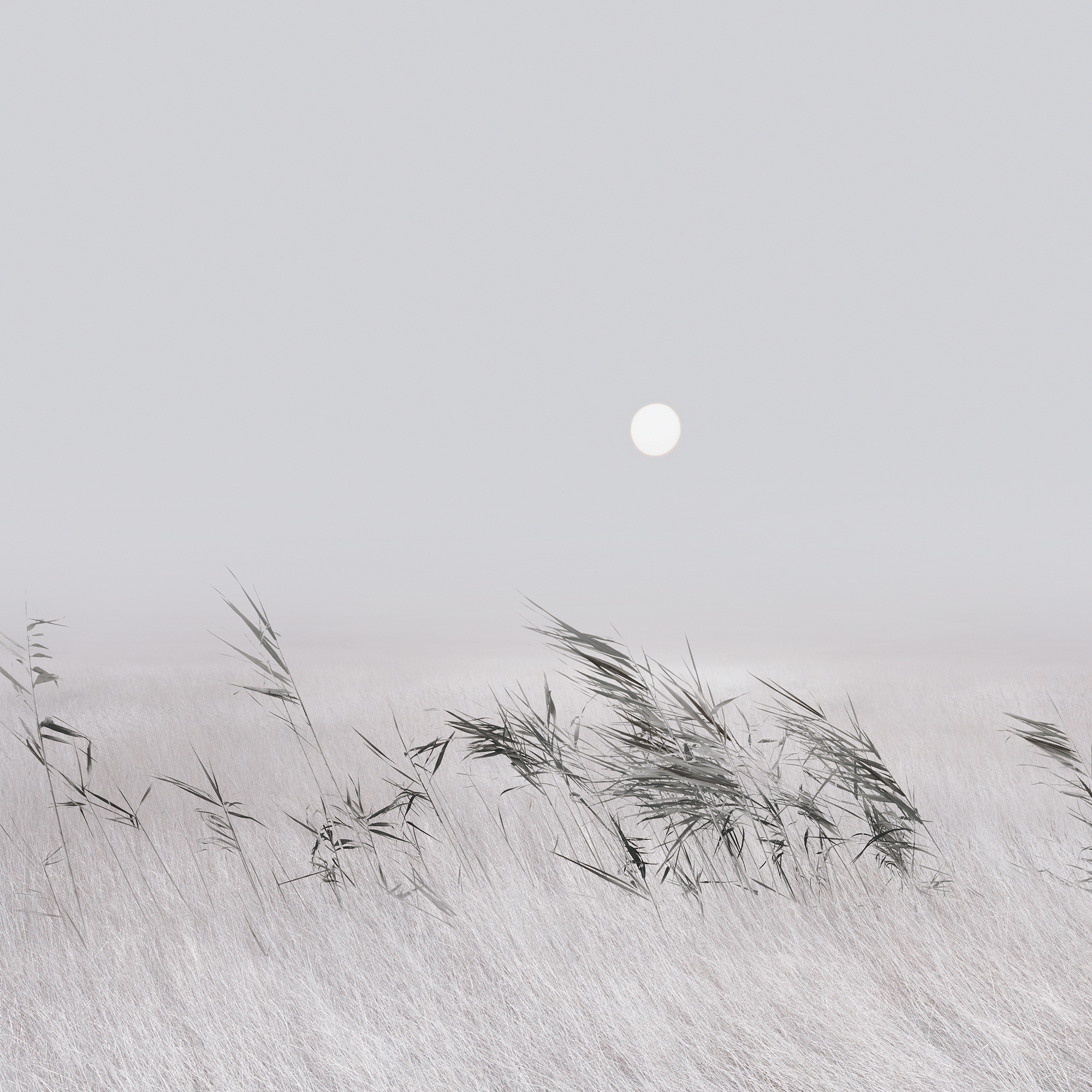 Minimalist Xiaomi HyperOS Wallpaper - xiaomi wallpaper for StockWalls