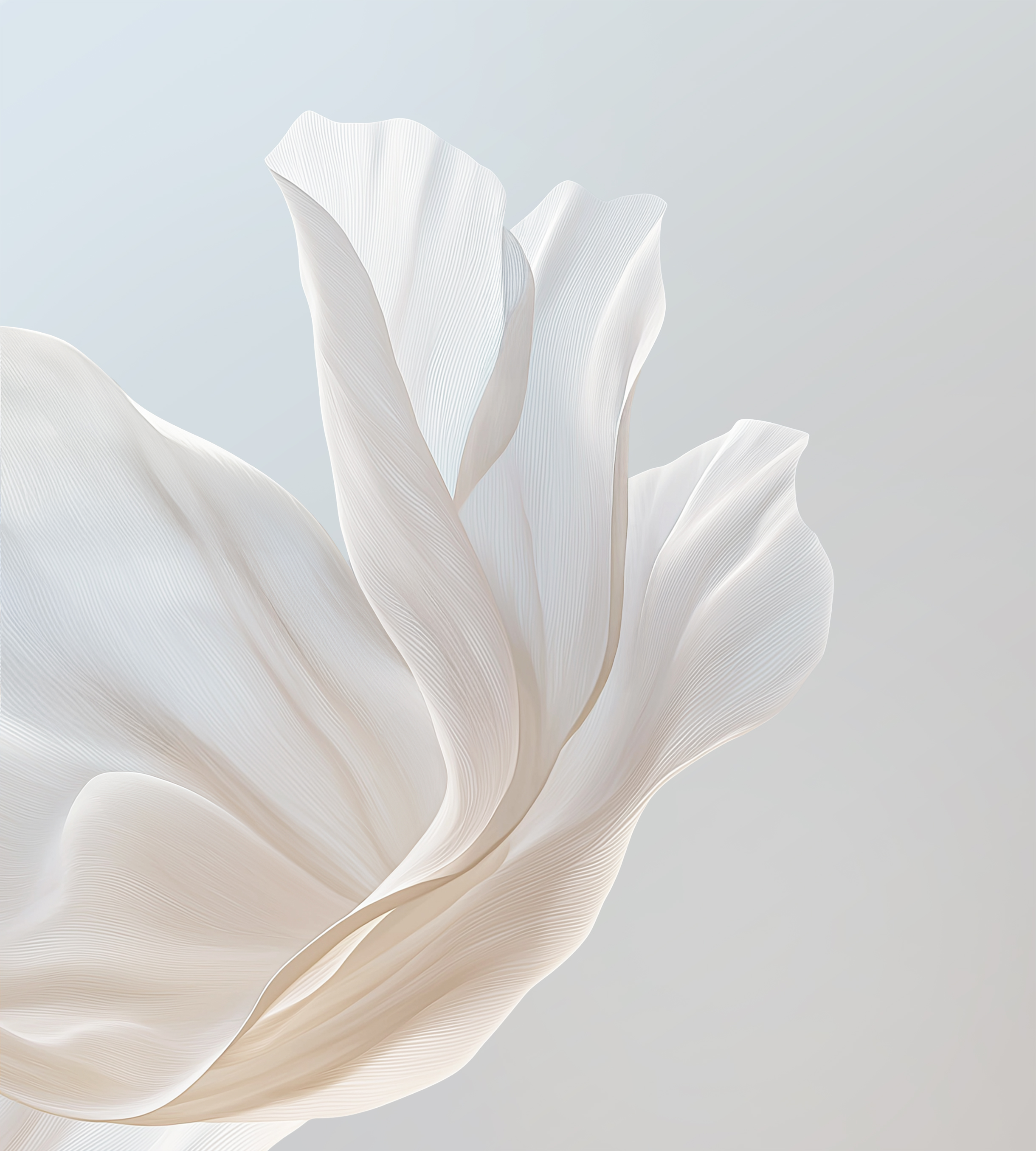 Elegant Motorola Edge 70 Wallpaper - minimal wallpaper for StockWalls