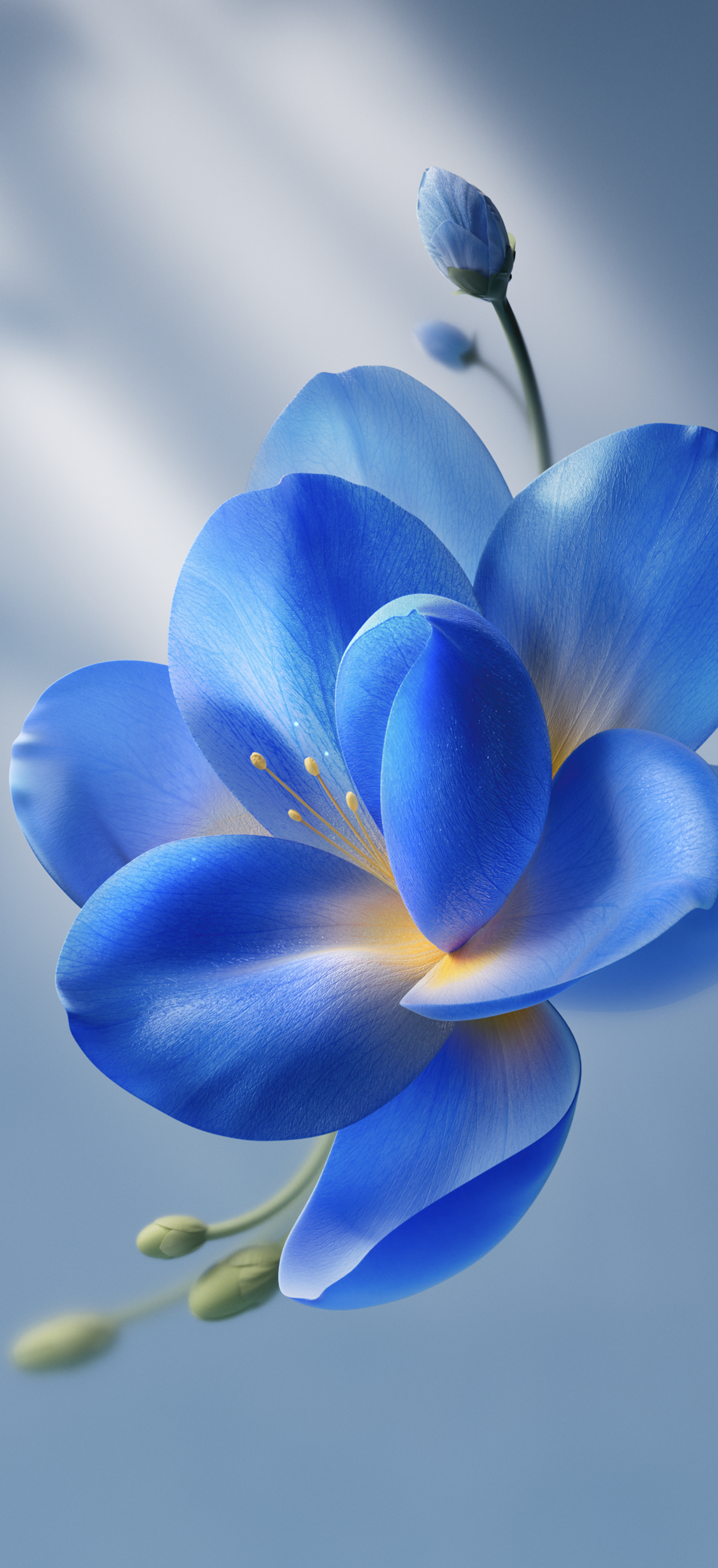 Blue OriginOS 7 Flower - vivo wallpaper for StockWalls