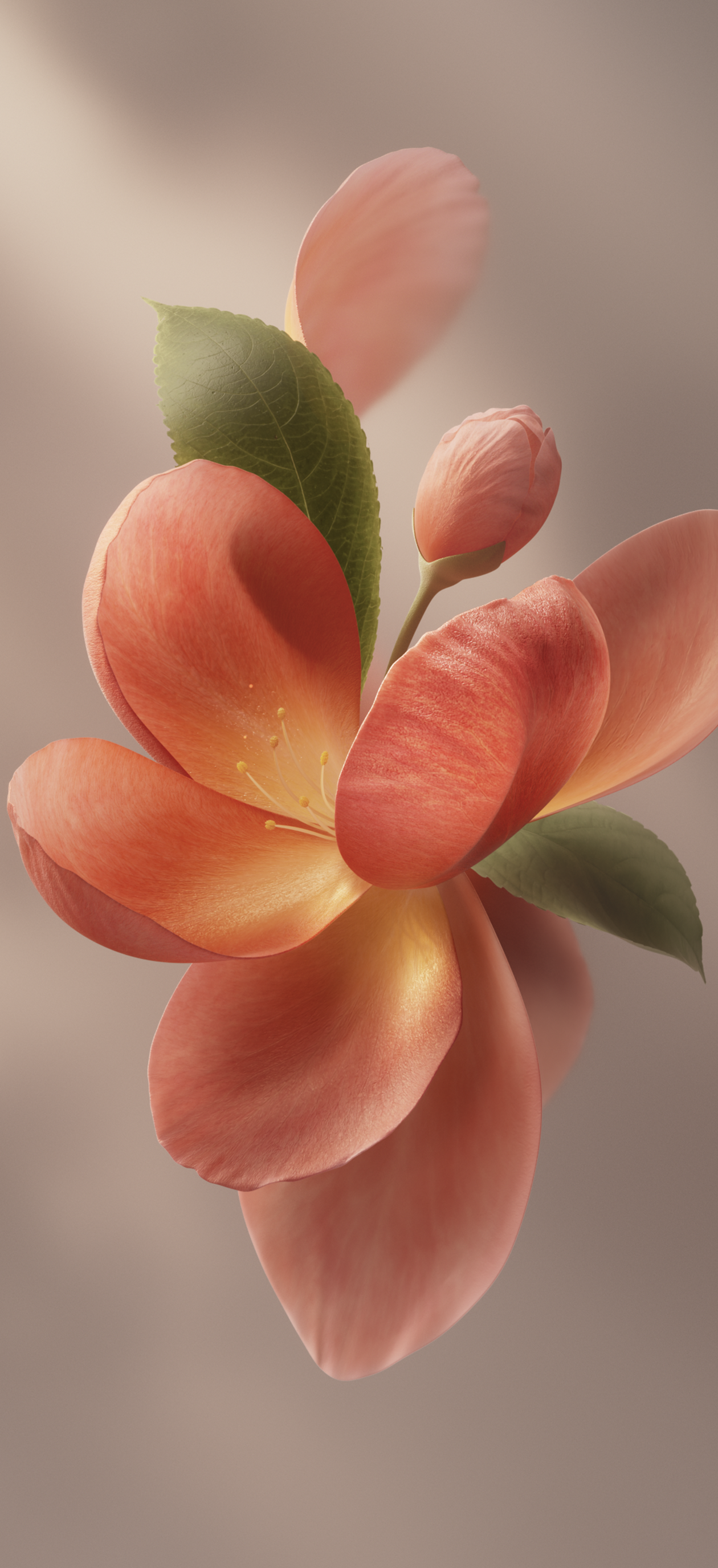 Elegant OriginOS 7 Flower - vivo wallpaper for StockWalls
