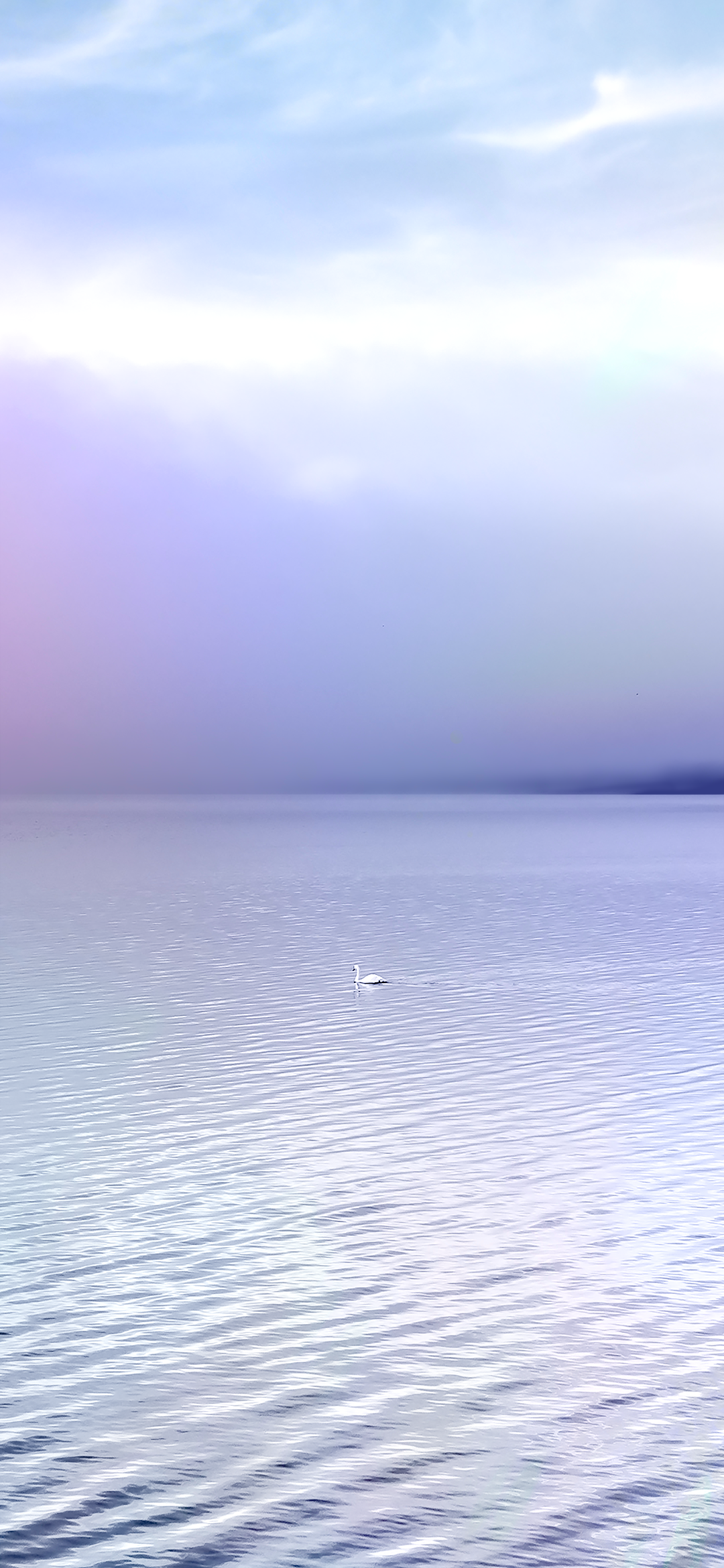 Serene Swan Lake Wallpaper - sony wallpaper for StockWalls