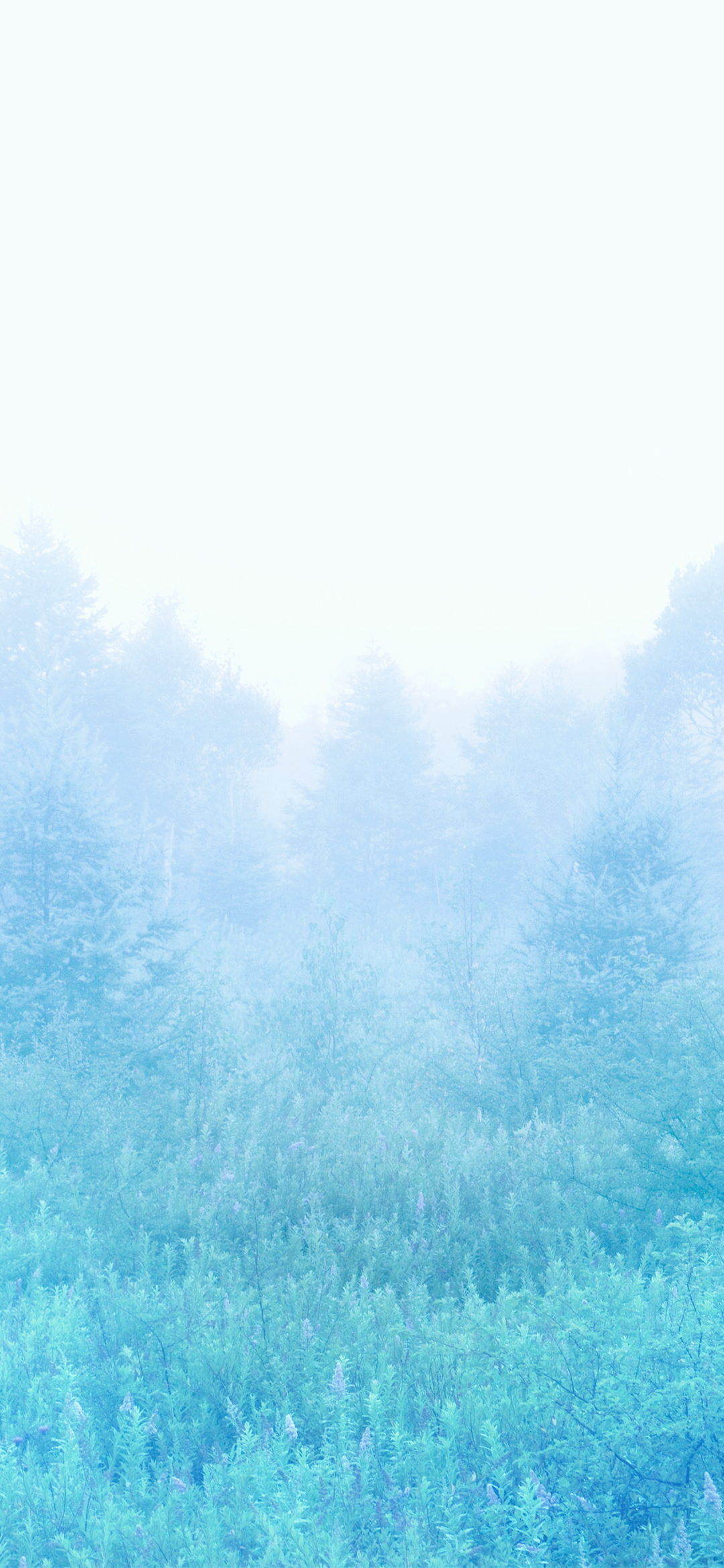 Misty Blue Forest Landscape - sony wallpaper for StockWalls