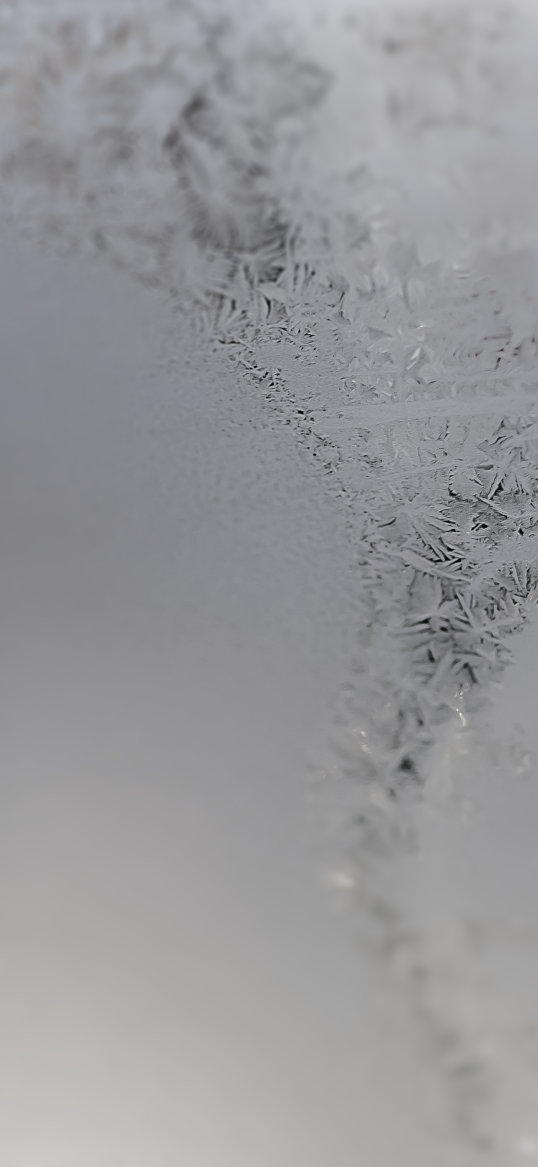 Frosty Winter Window Patterns - sony wallpaper for StockWalls