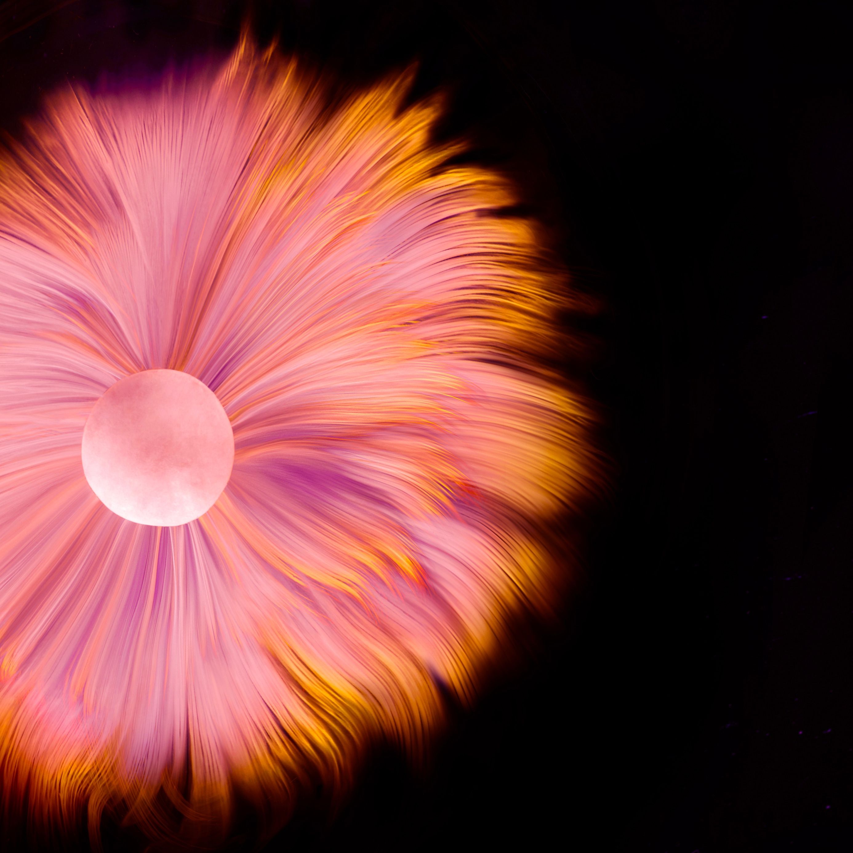 Abstract Fiery Bloom - huawei wallpaper for StockWalls