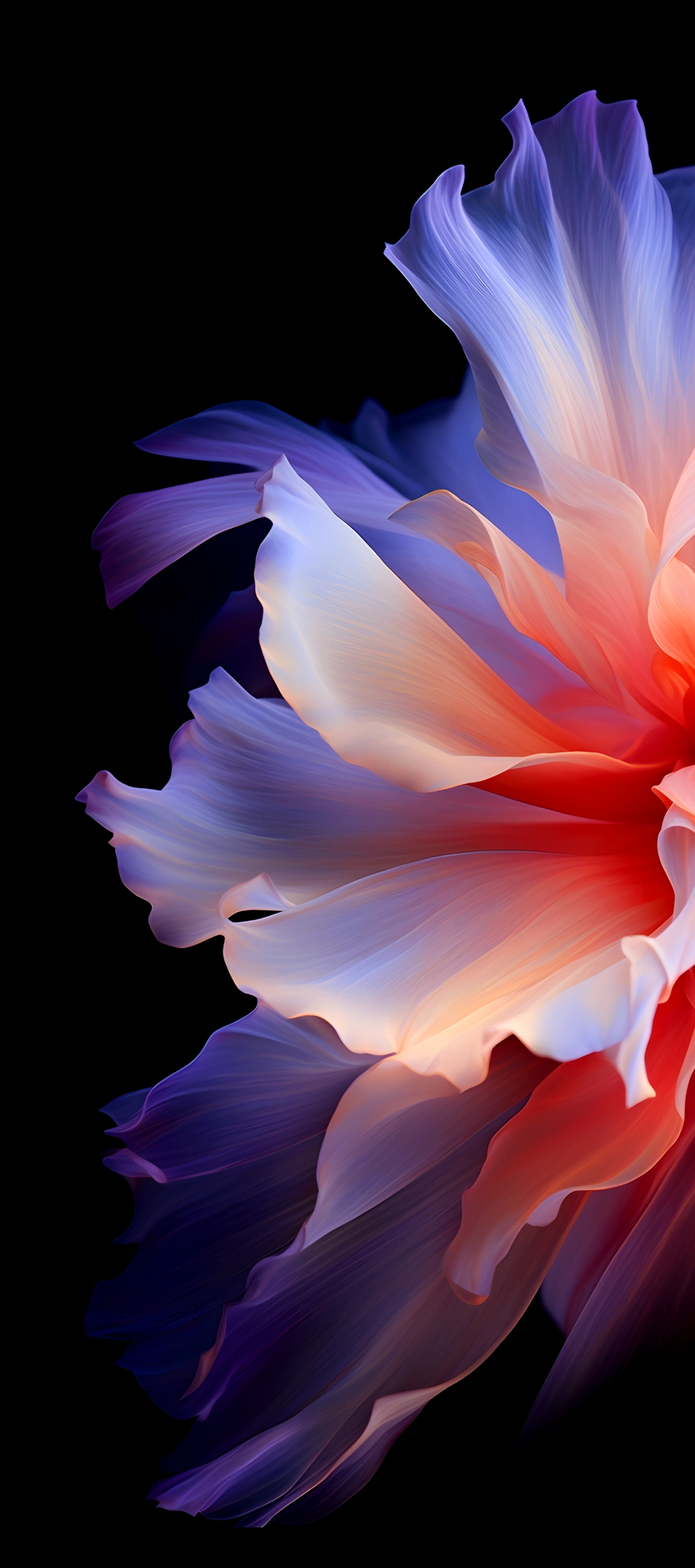 Abstract Floral Petals - tecno wallpaper for StockWalls