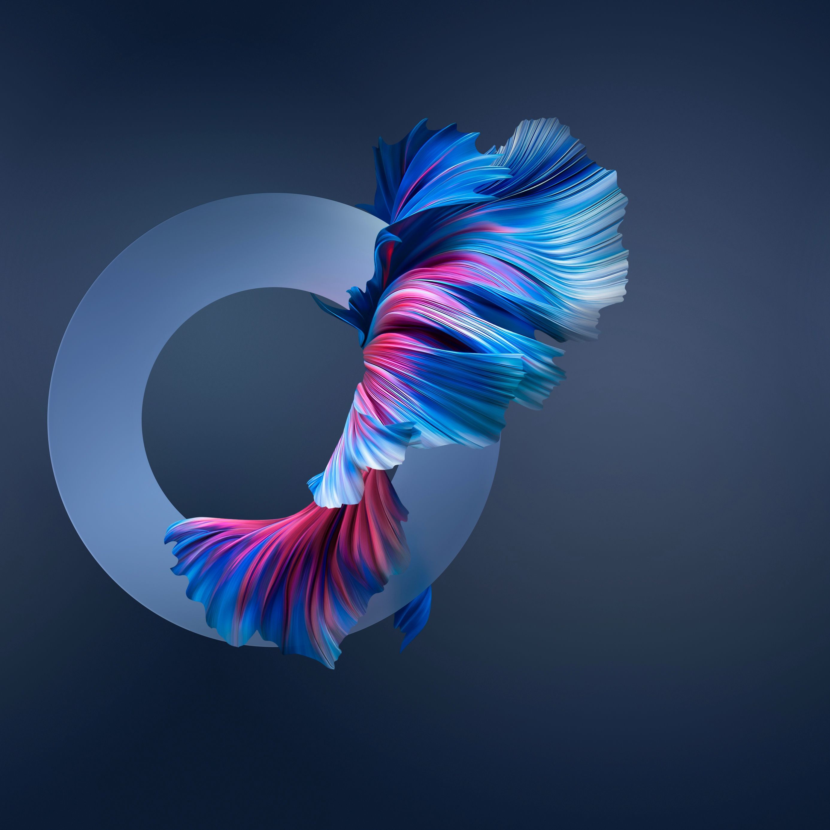 Abstract Flowing Fins - huawei wallpaper for StockWalls