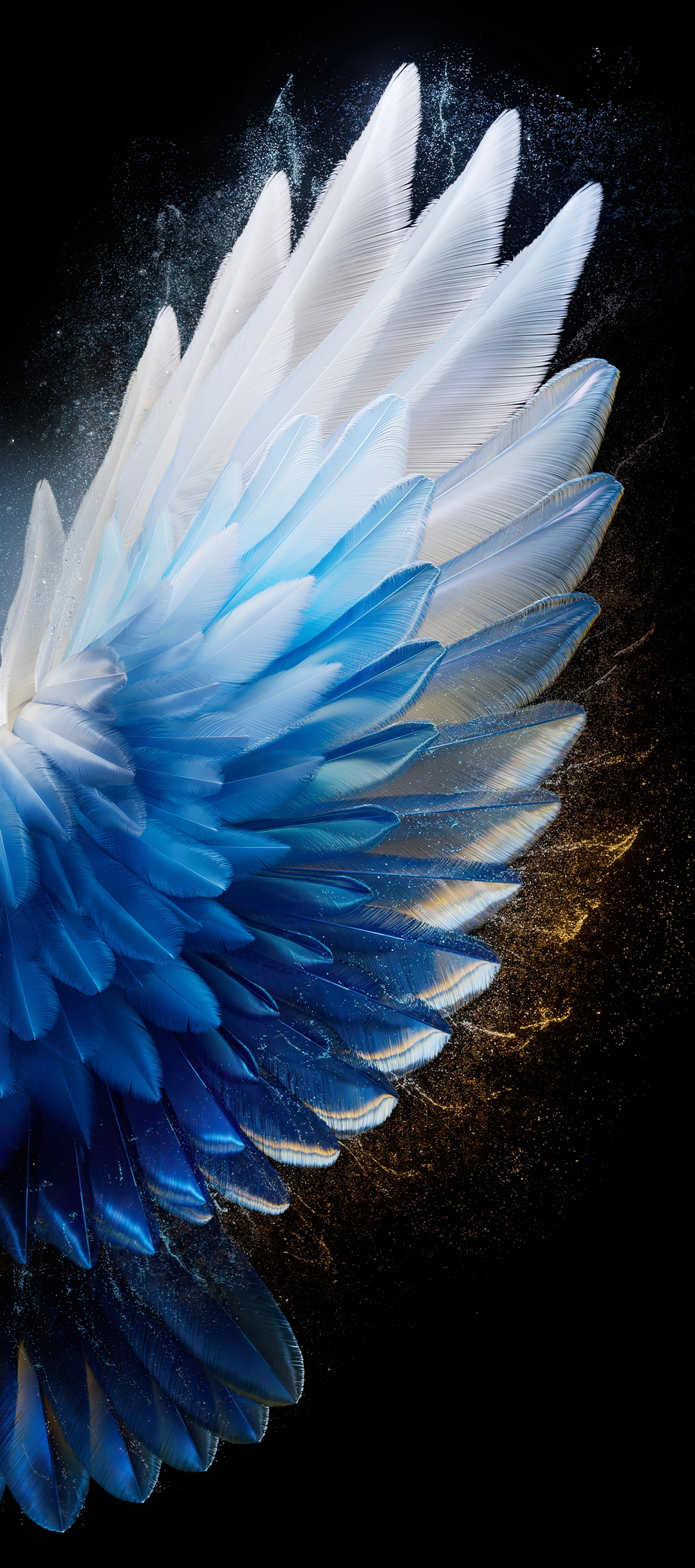 Blue Feather Wings - tecno wallpaper for StockWalls